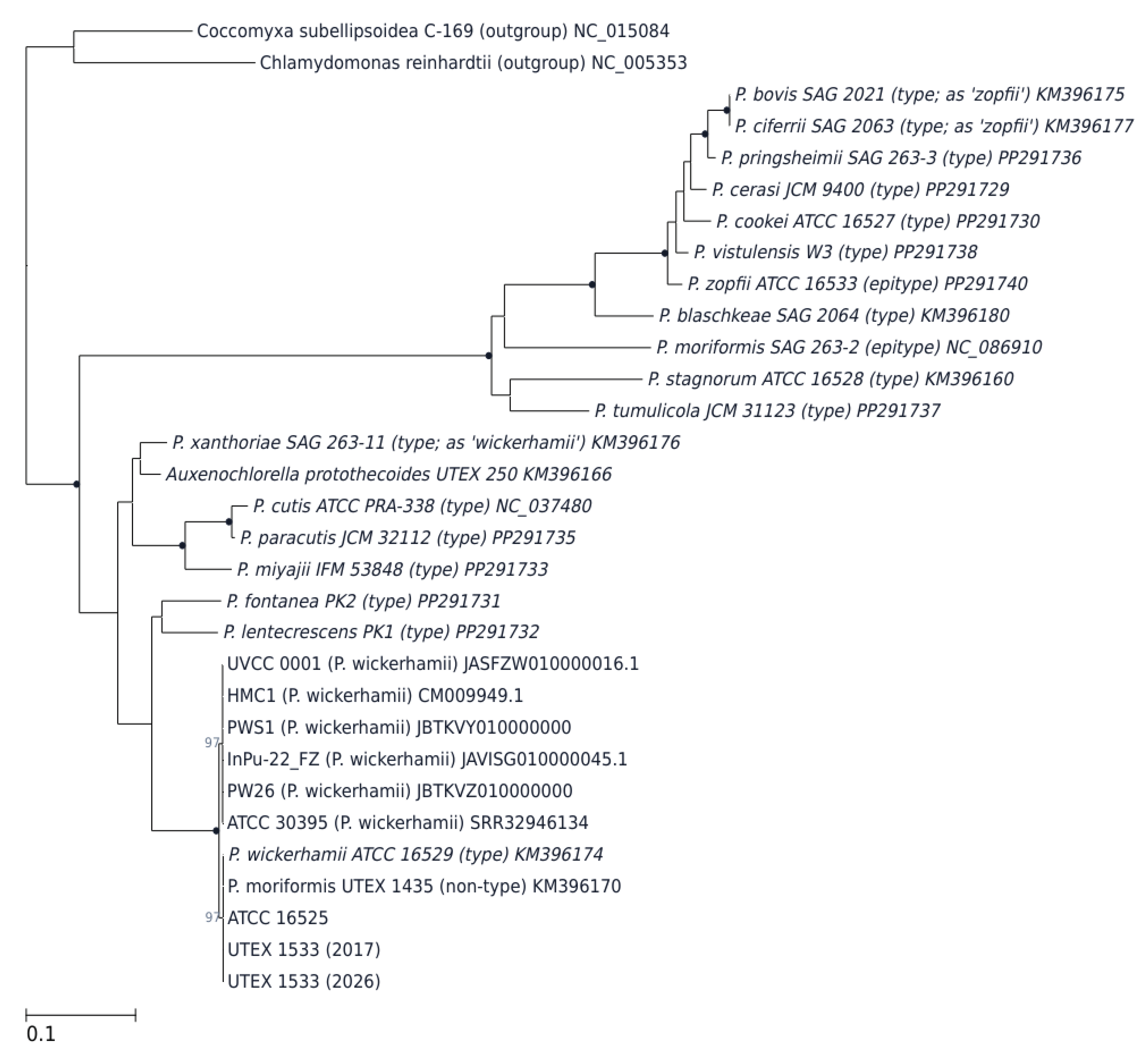 Preprints 239272 g001