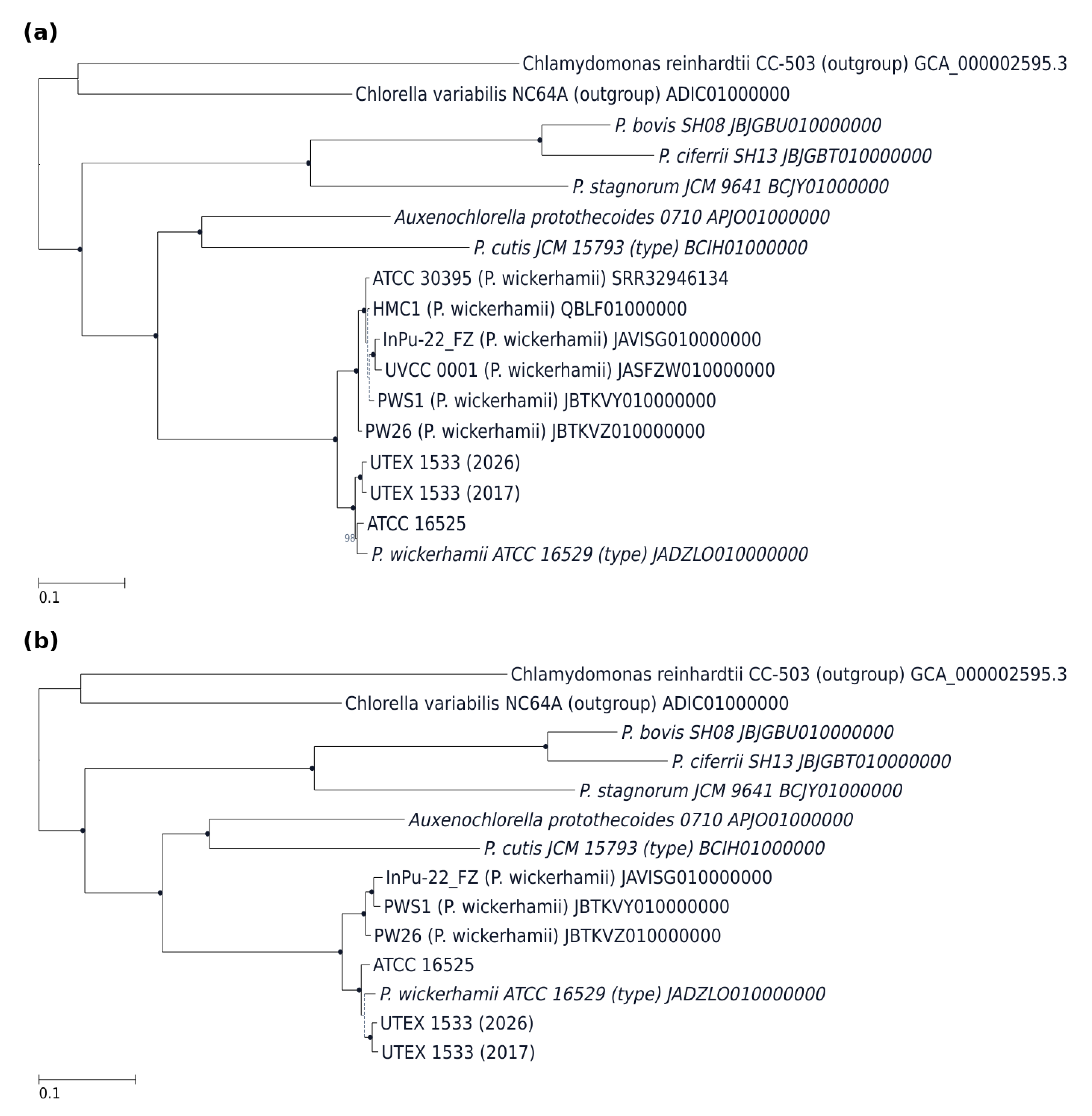 Preprints 239272 g003