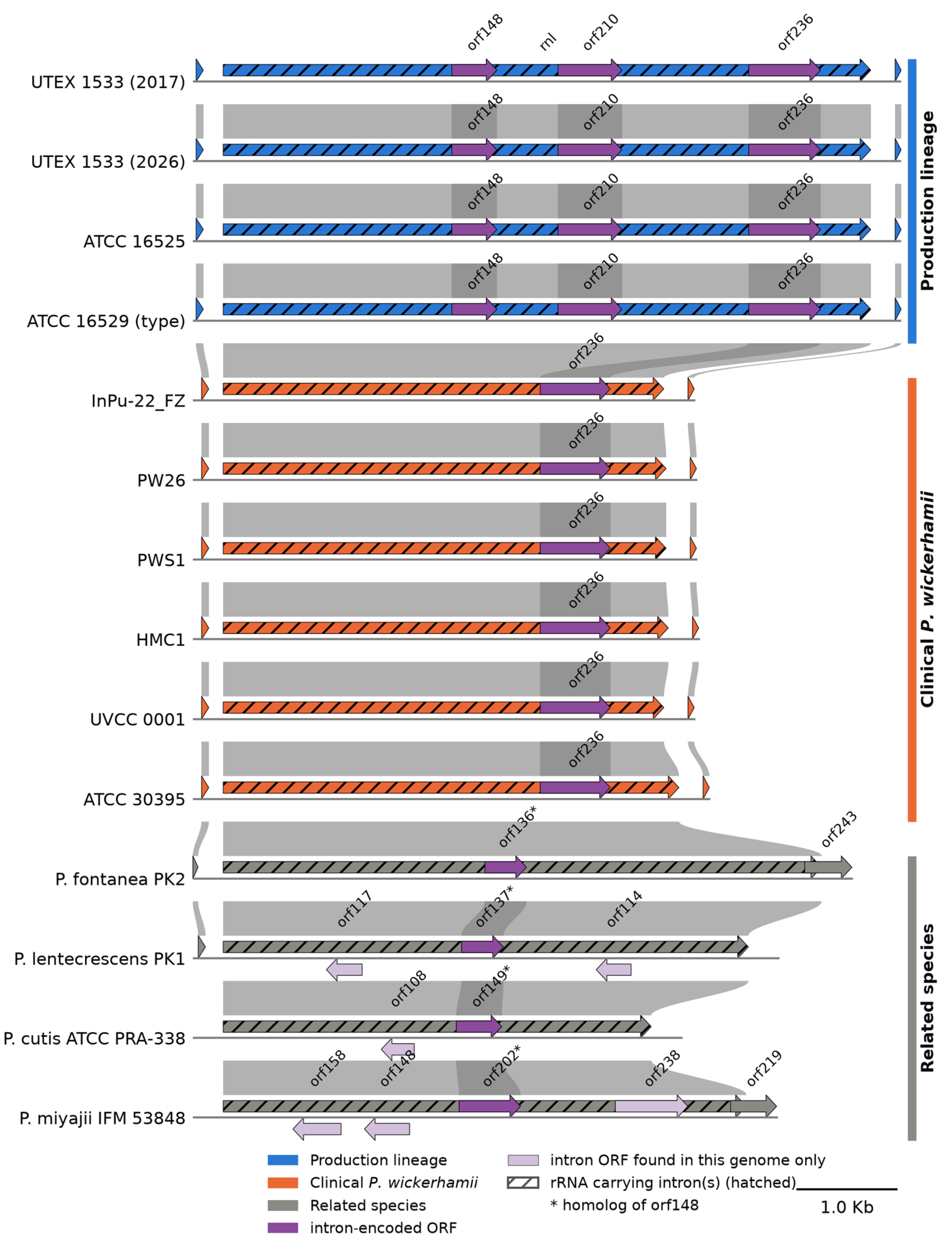 Preprints 239272 g004