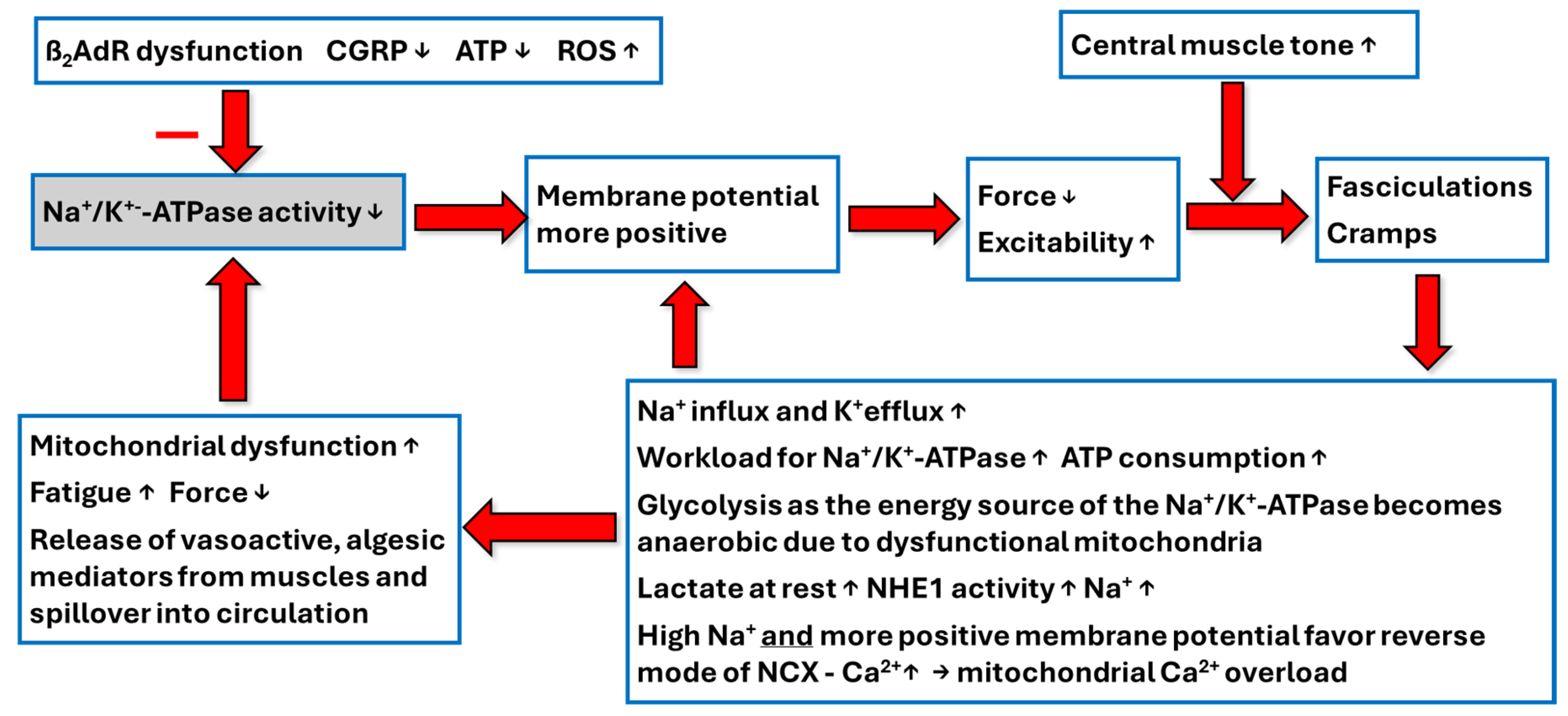 Preprints 178215 g001