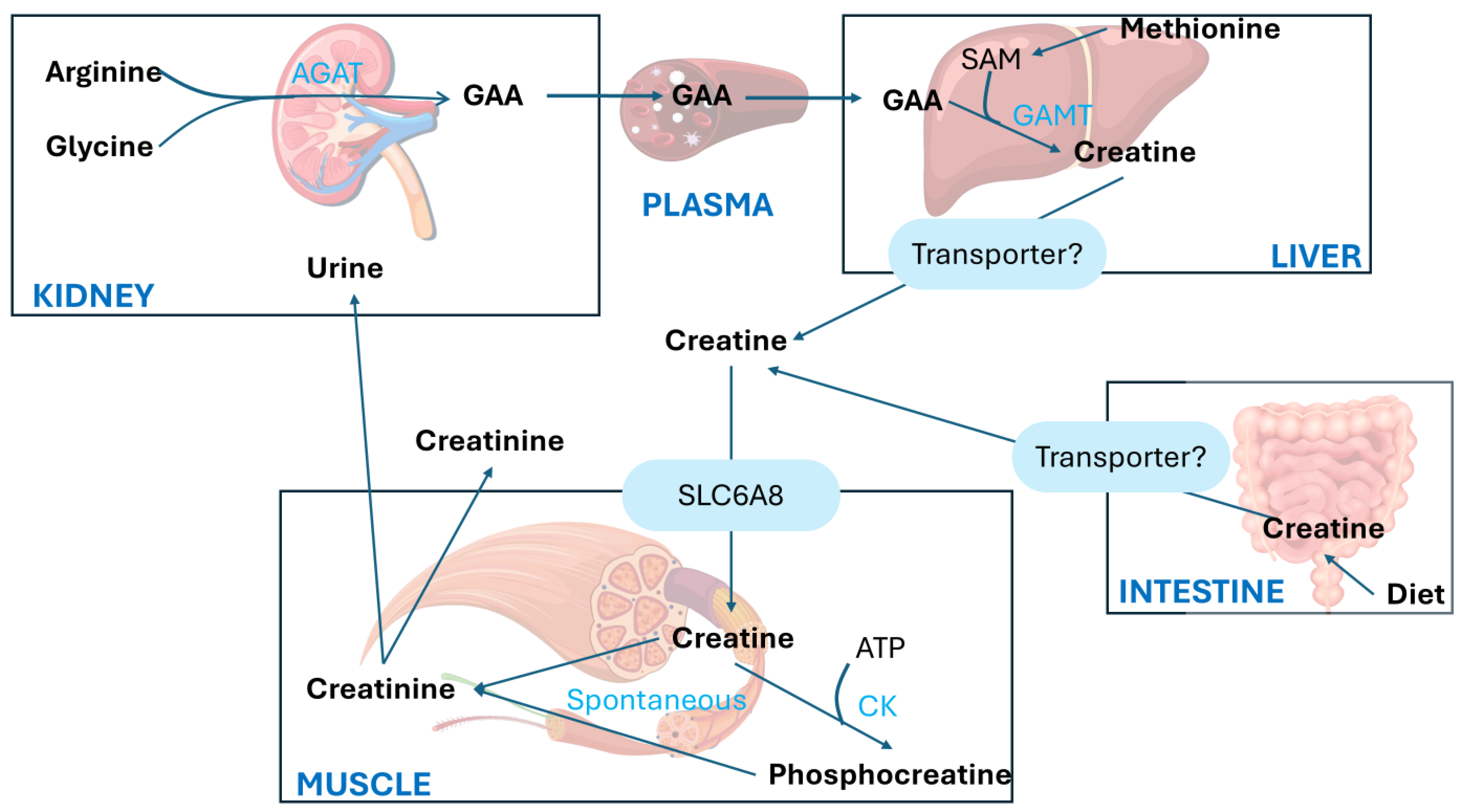 Preprints 141902 g003