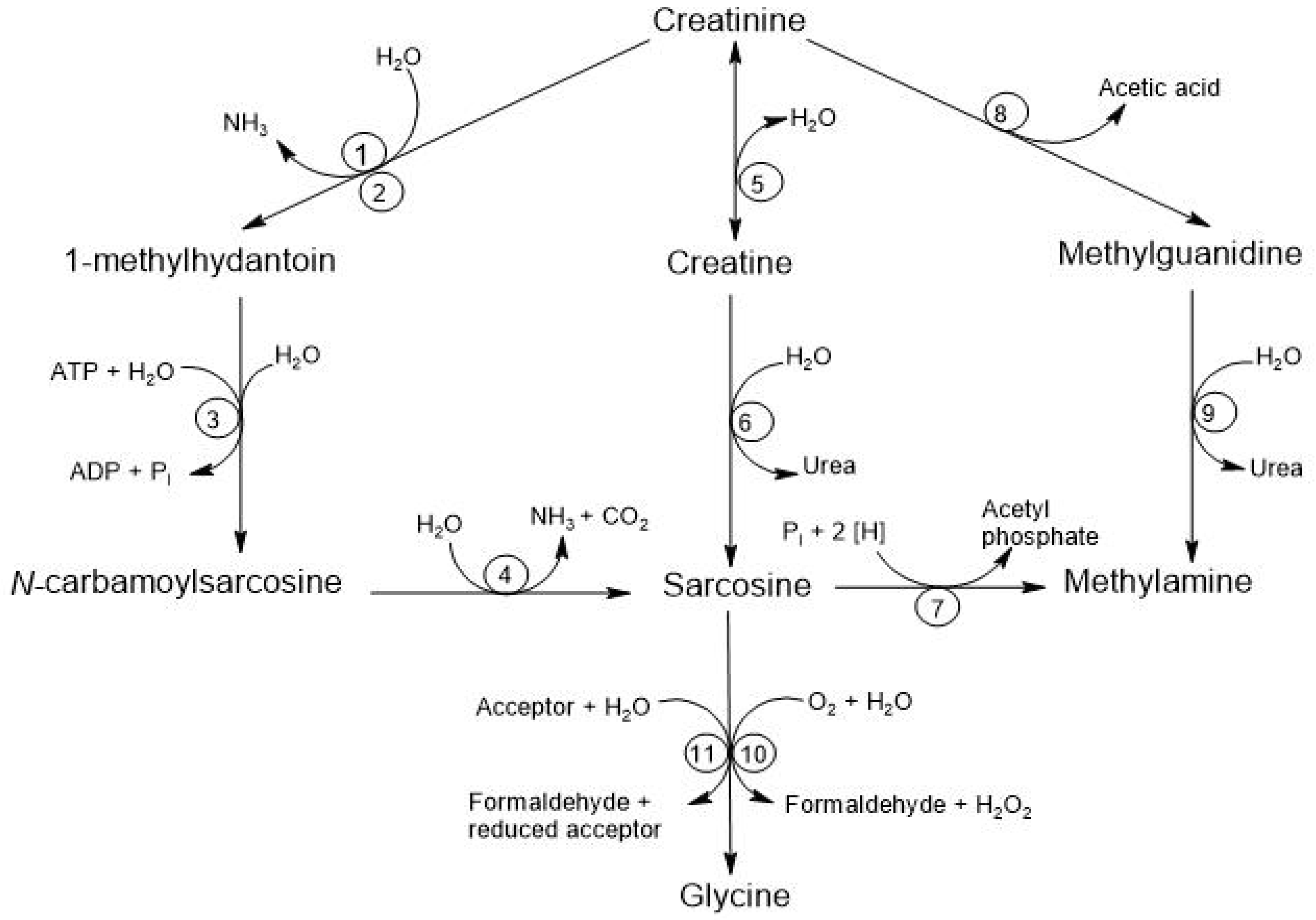 Preprints 141902 g005