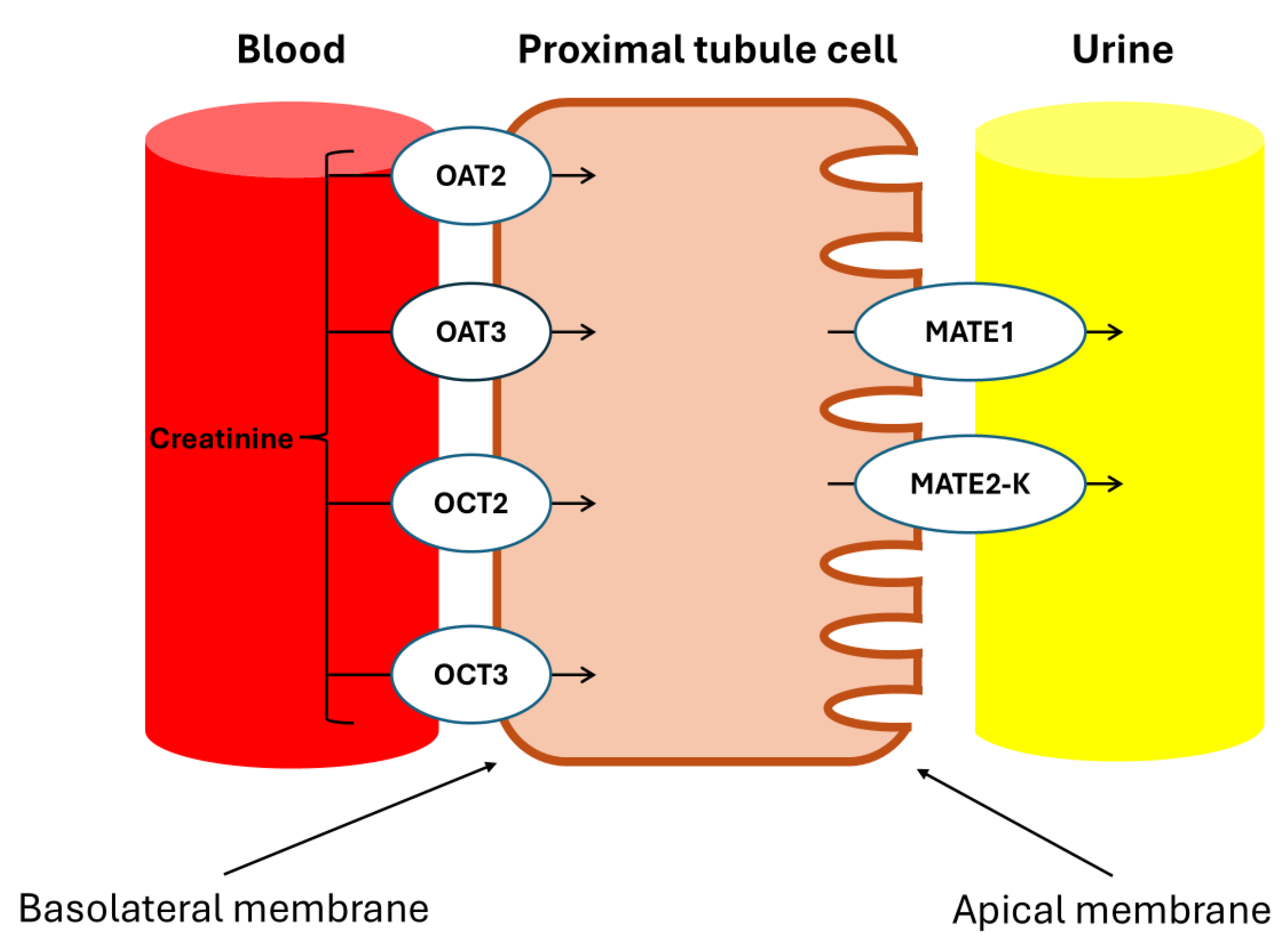 Preprints 141902 g007