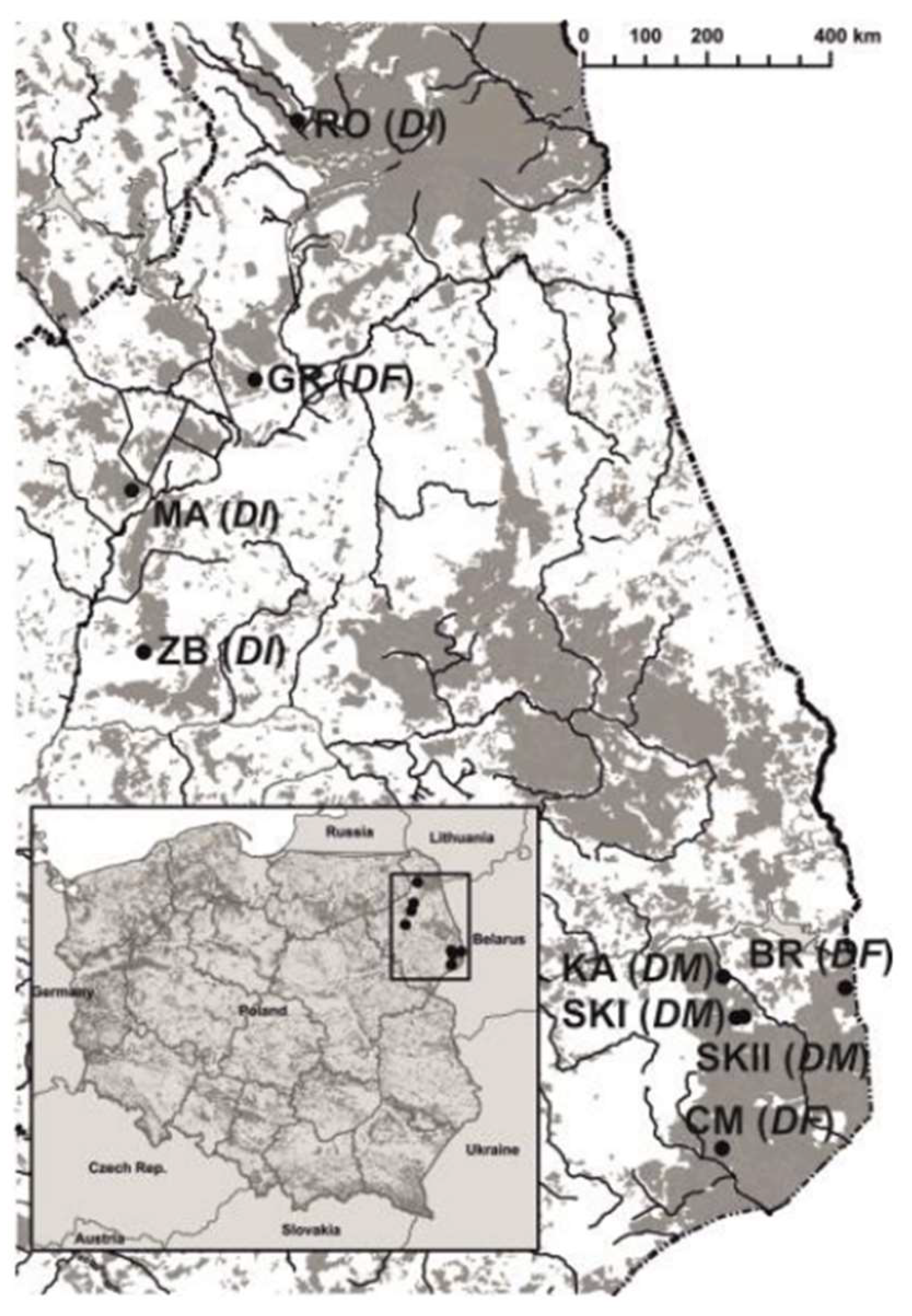Preprints 142320 g001