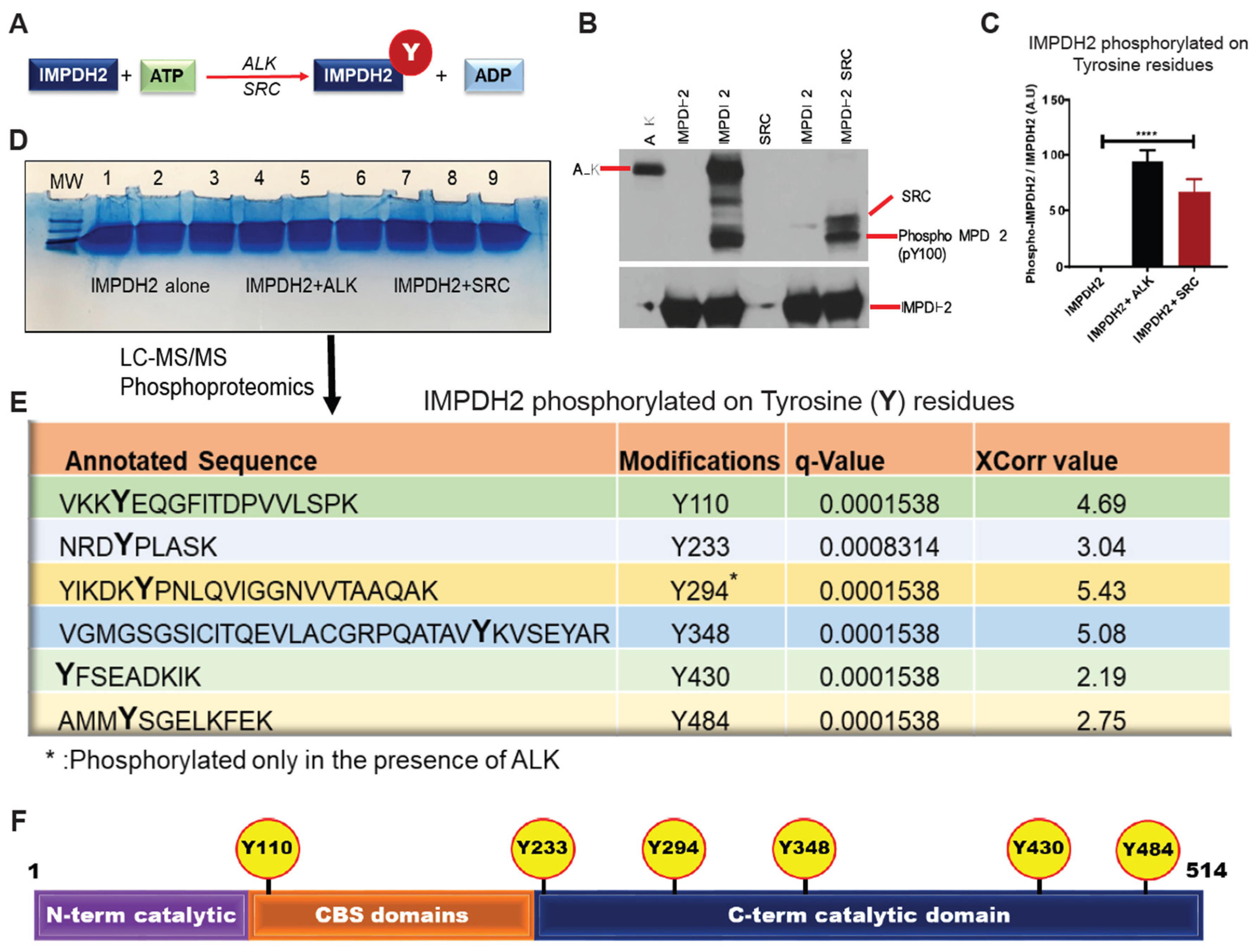 Preprints 177185 g001
