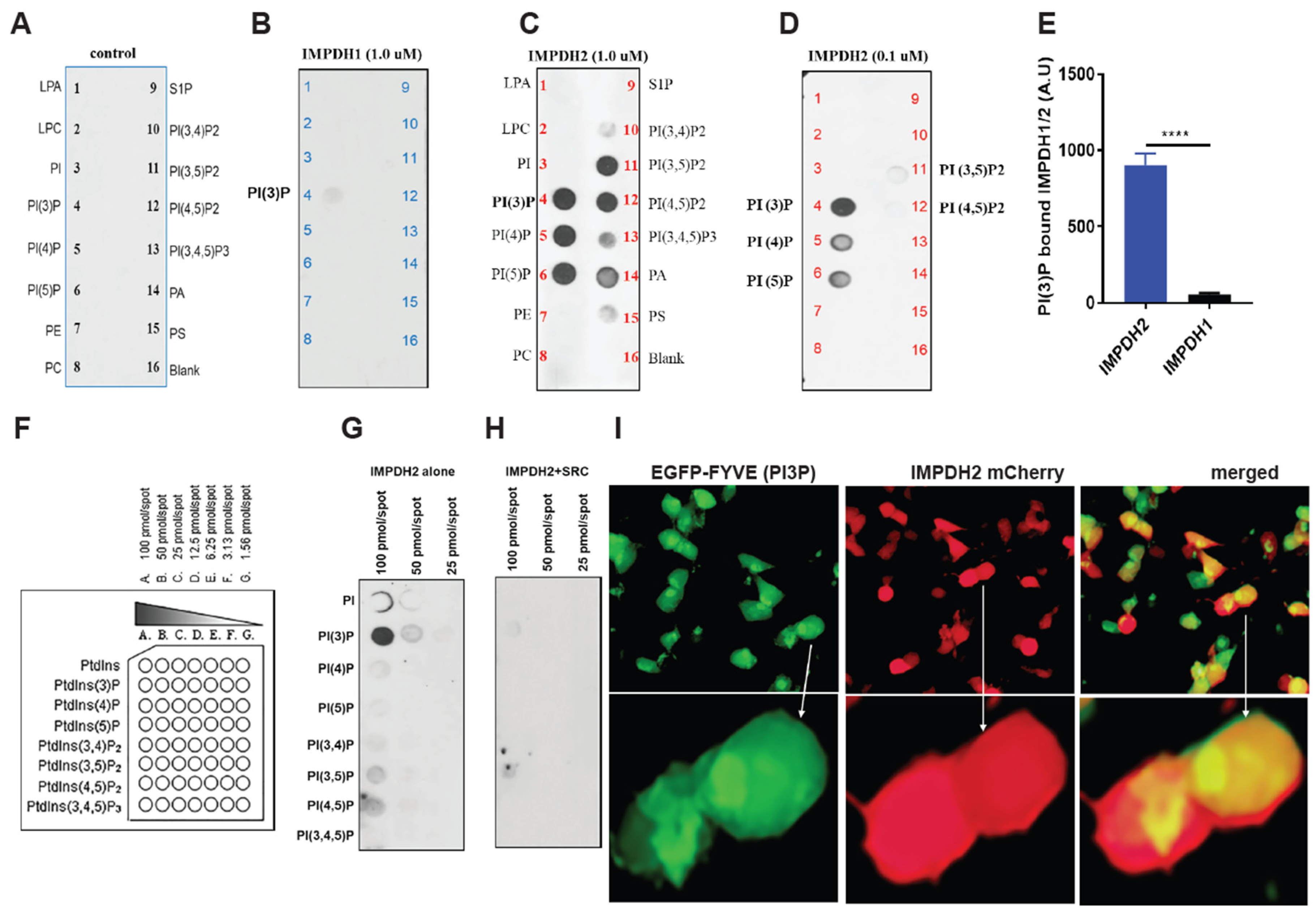 Preprints 177185 g002