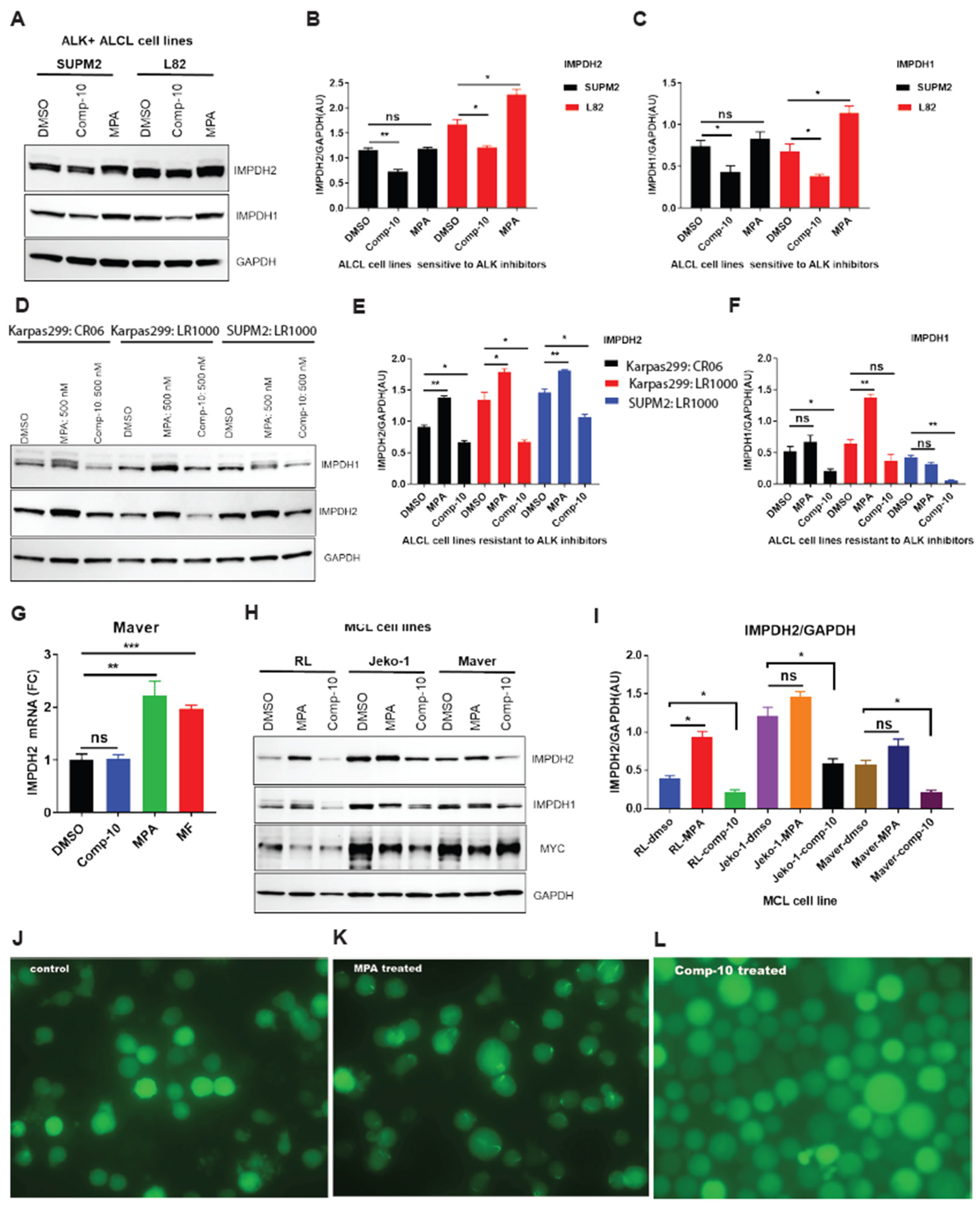 Preprints 177185 g005