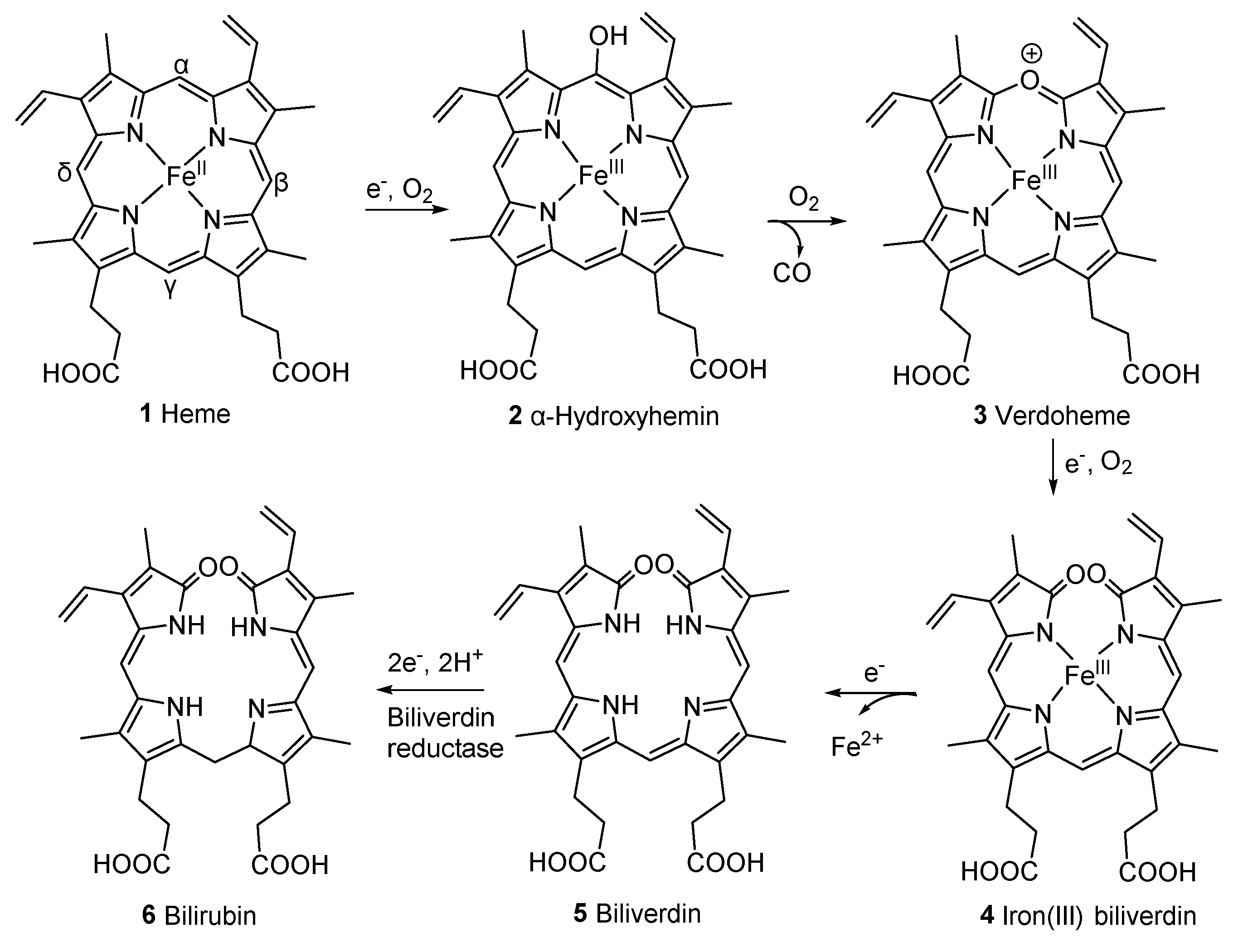 Preprints 75071 g002