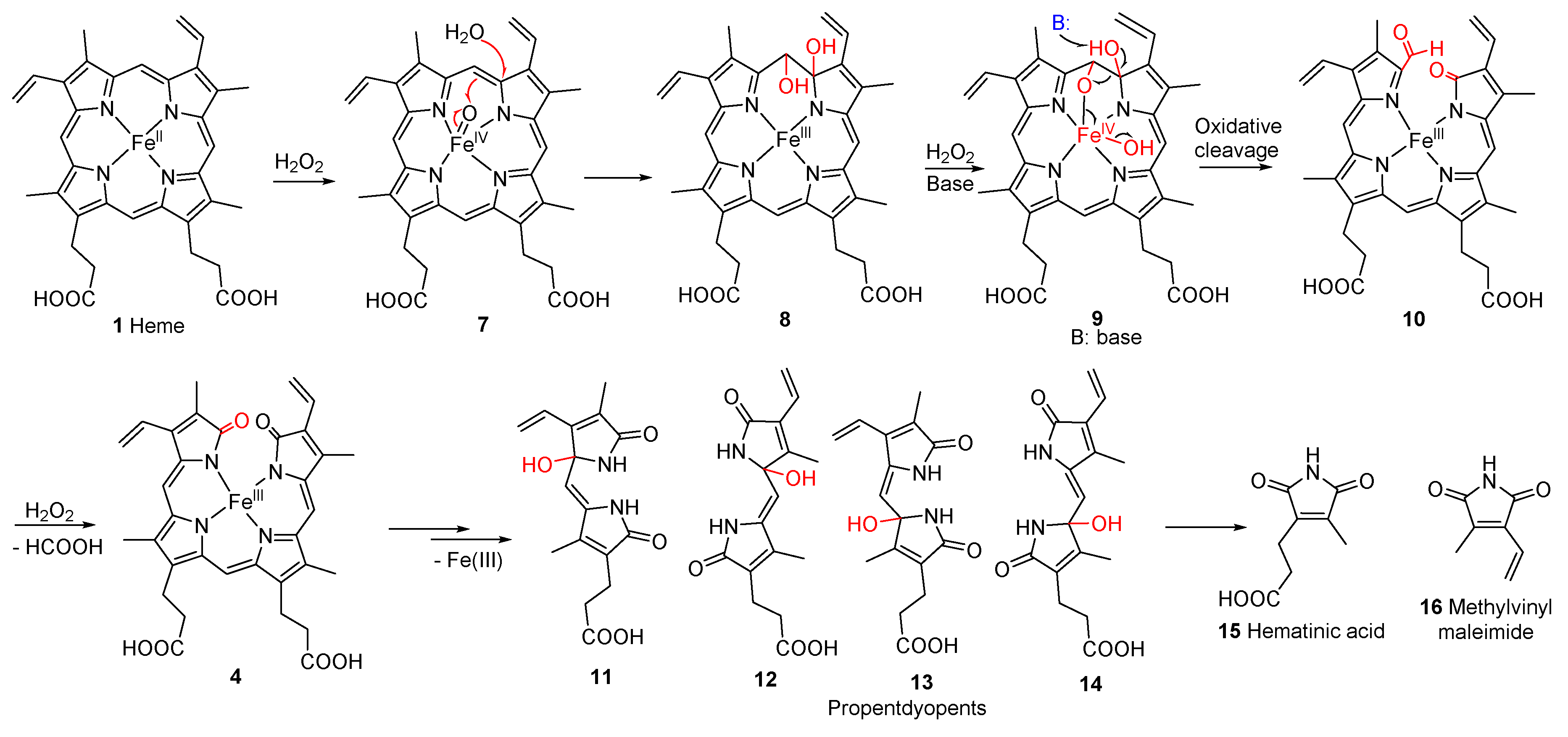 Preprints 75071 g003