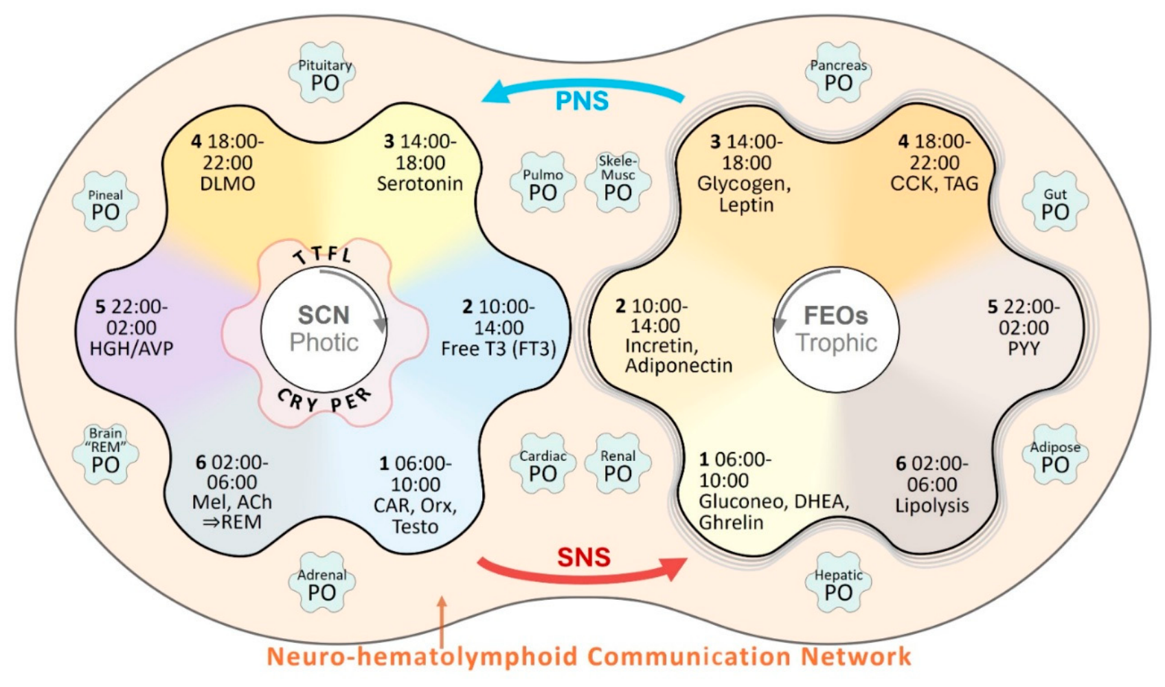 Preprints 232114 g001 Preprints 232114 g001