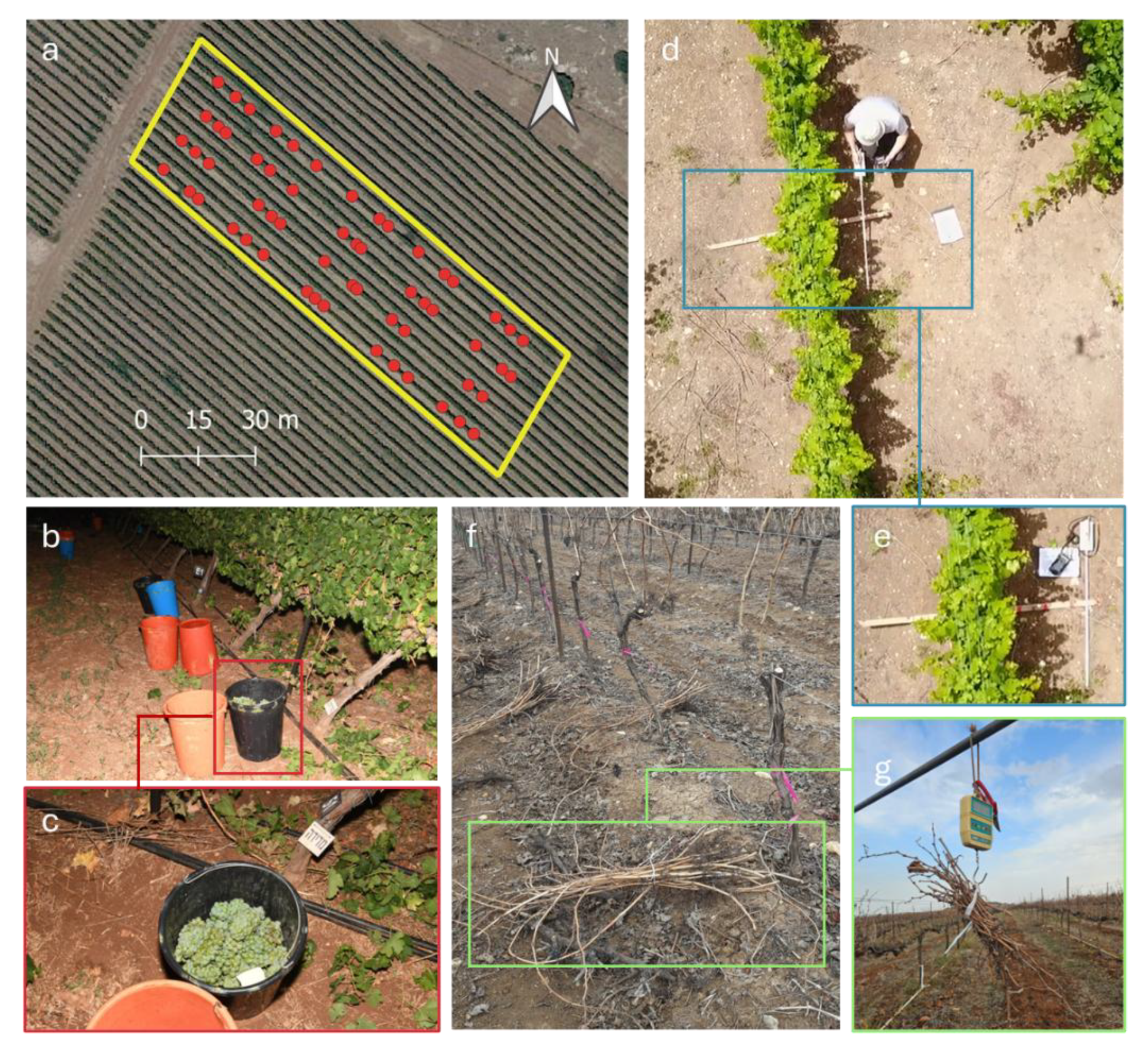 Preprints 149593 g001