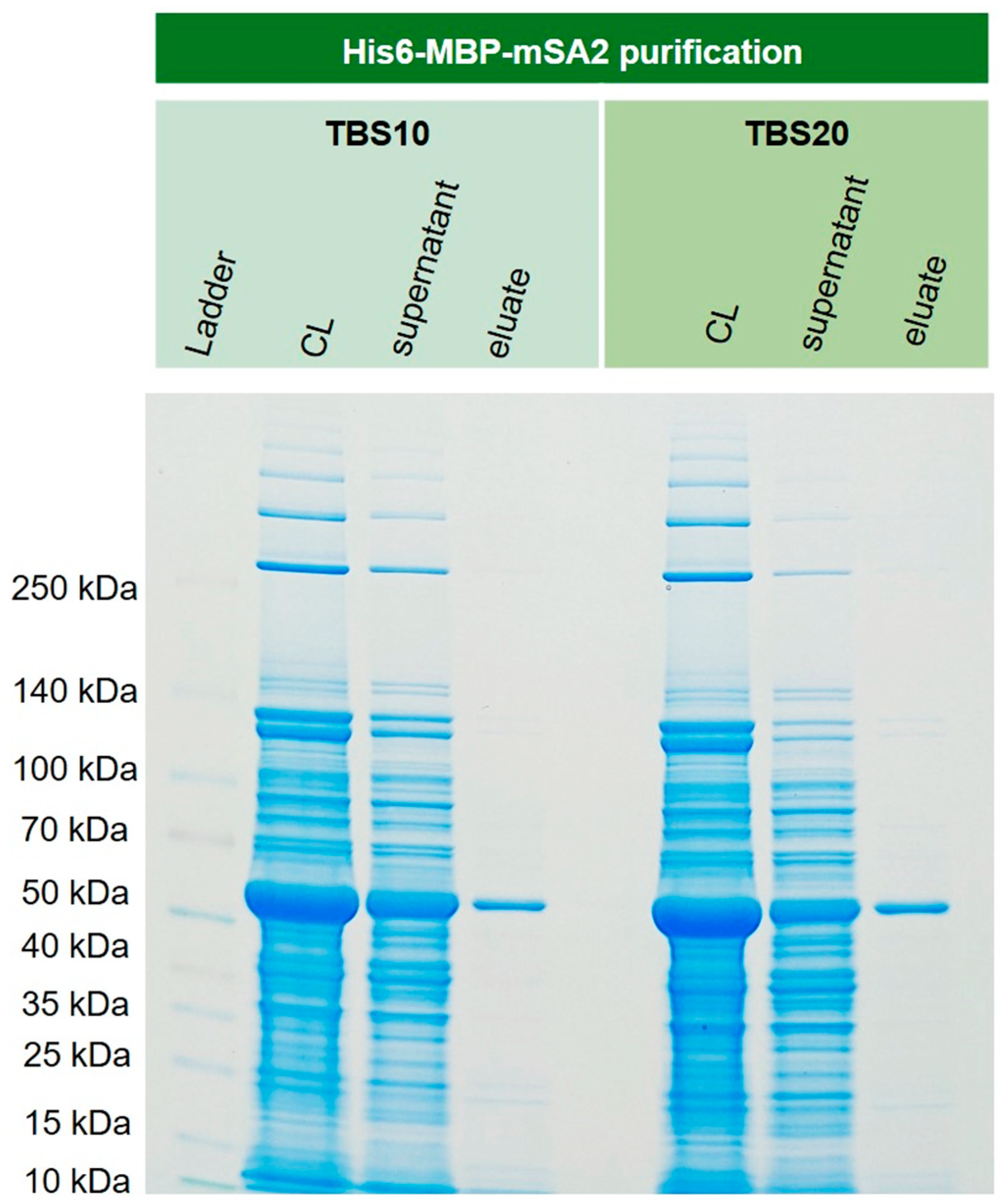 Preprints 70565 g011
