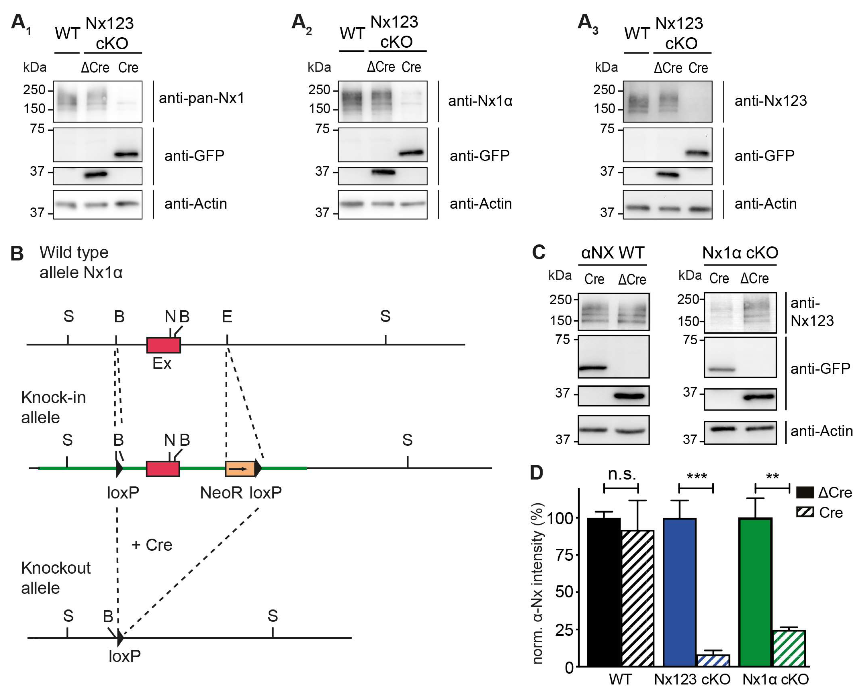 Preprints 105837 g001