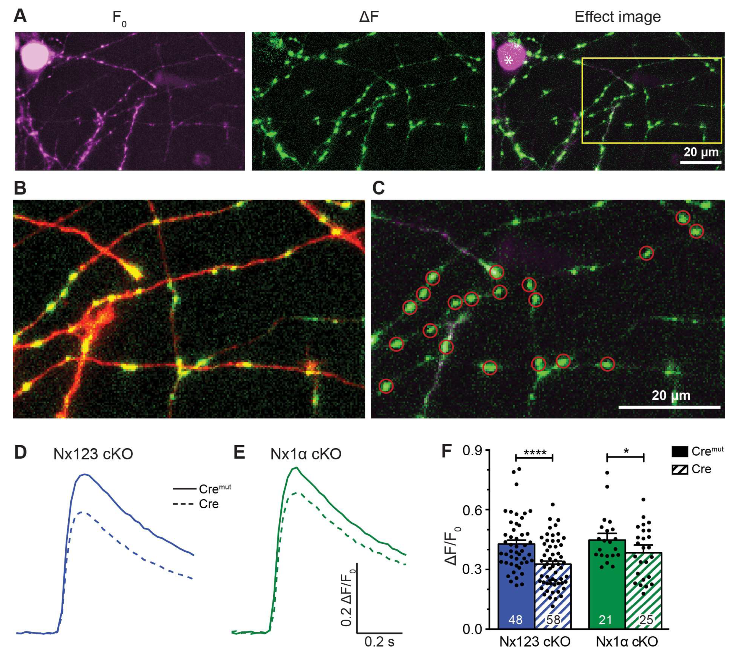 Preprints 105837 g002