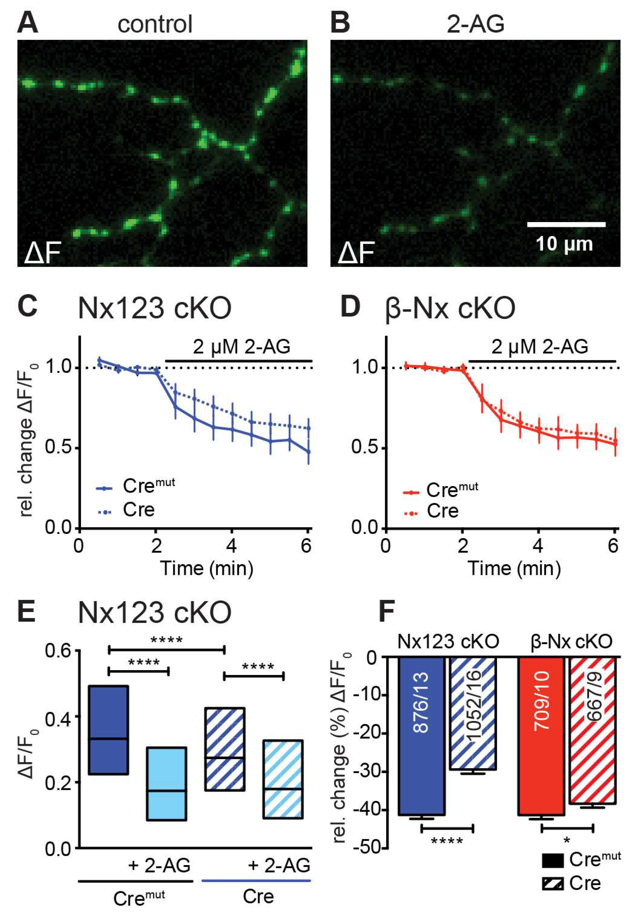 Preprints 105837 g005