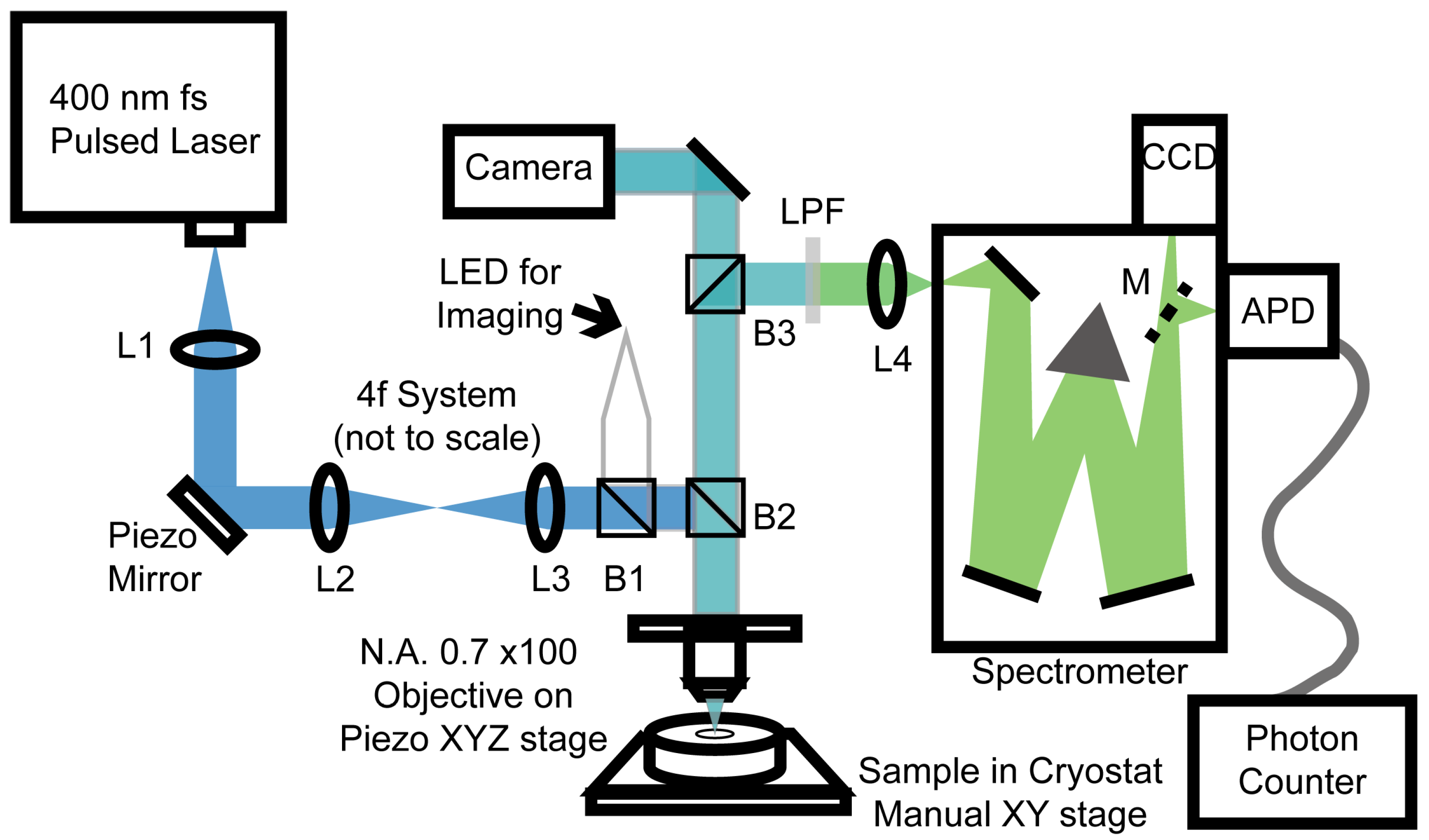 Preprints 152315 g002