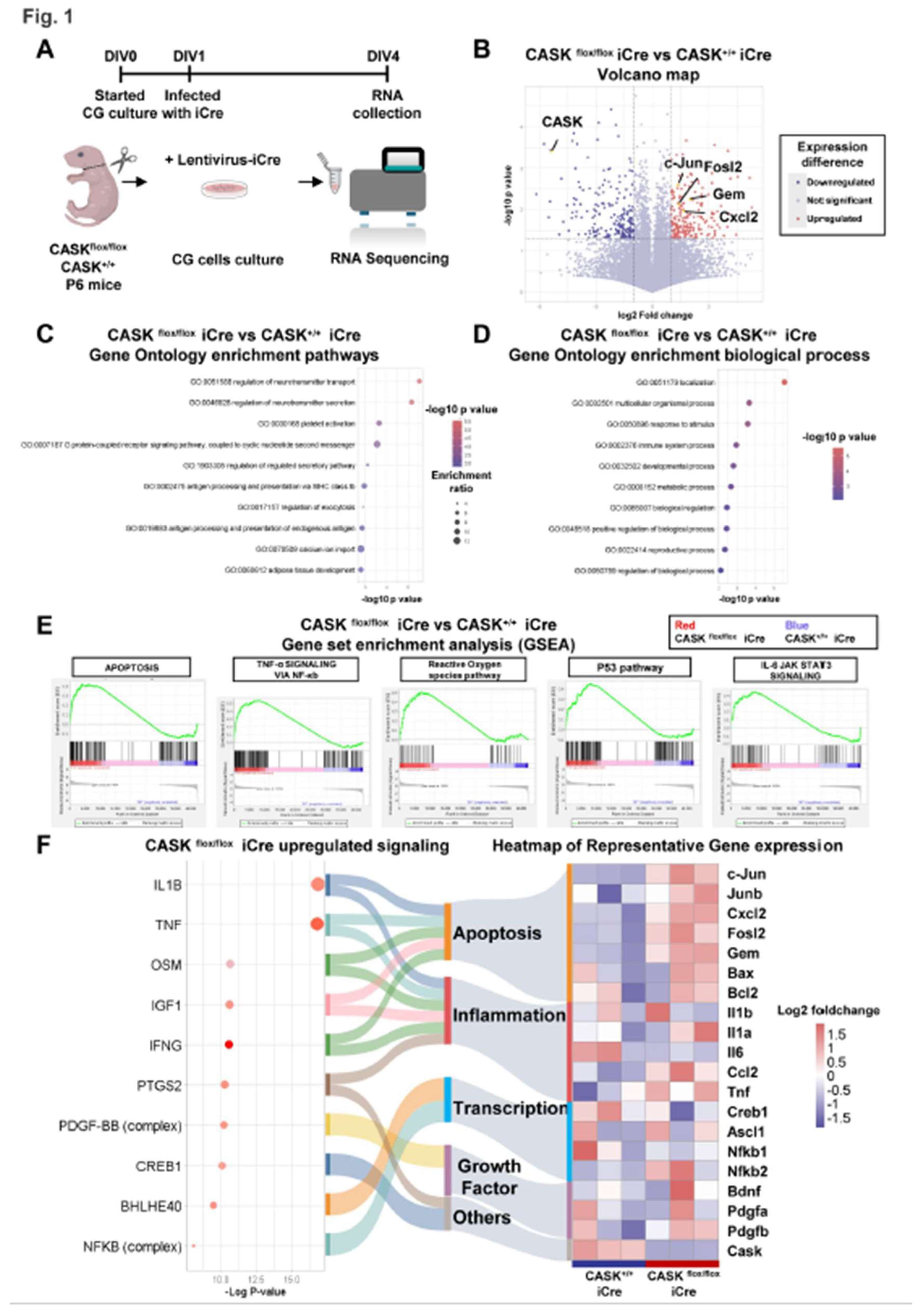 Preprints 156451 g001