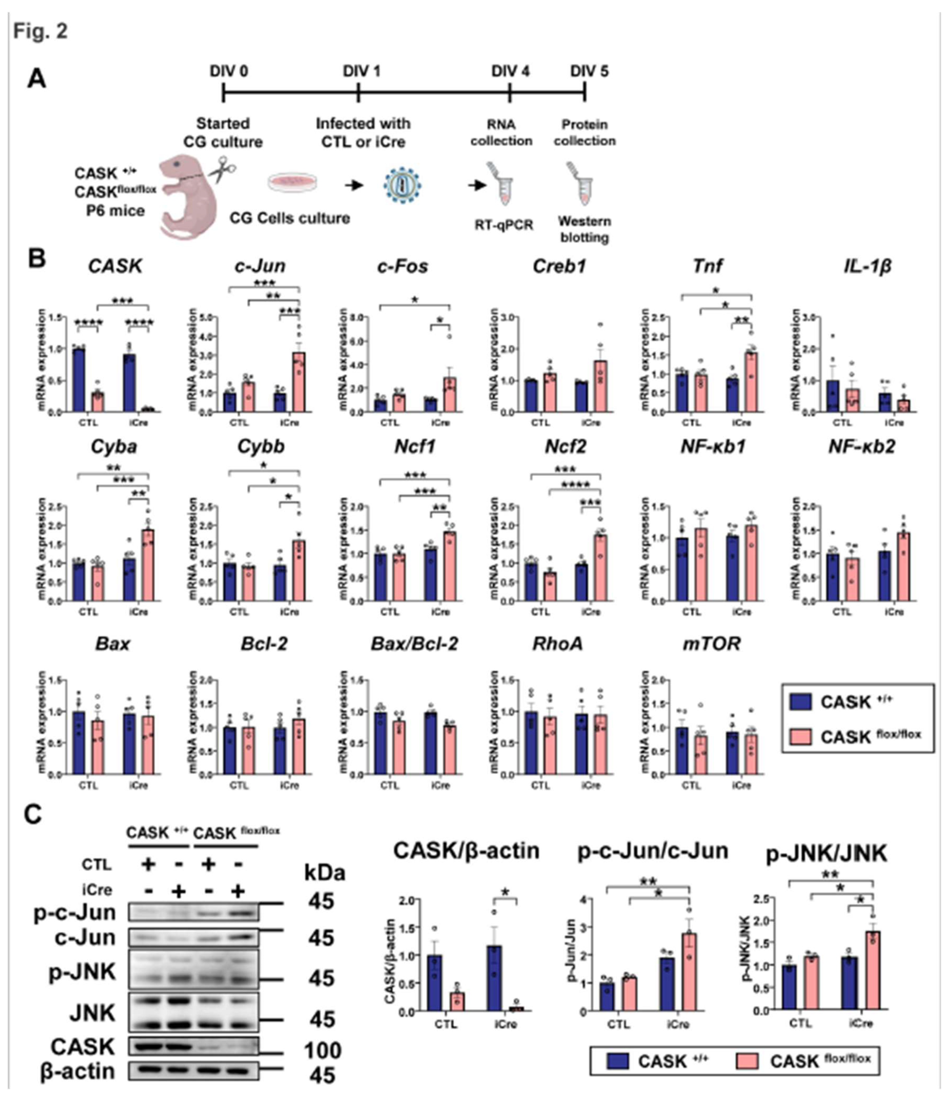 Preprints 156451 g002