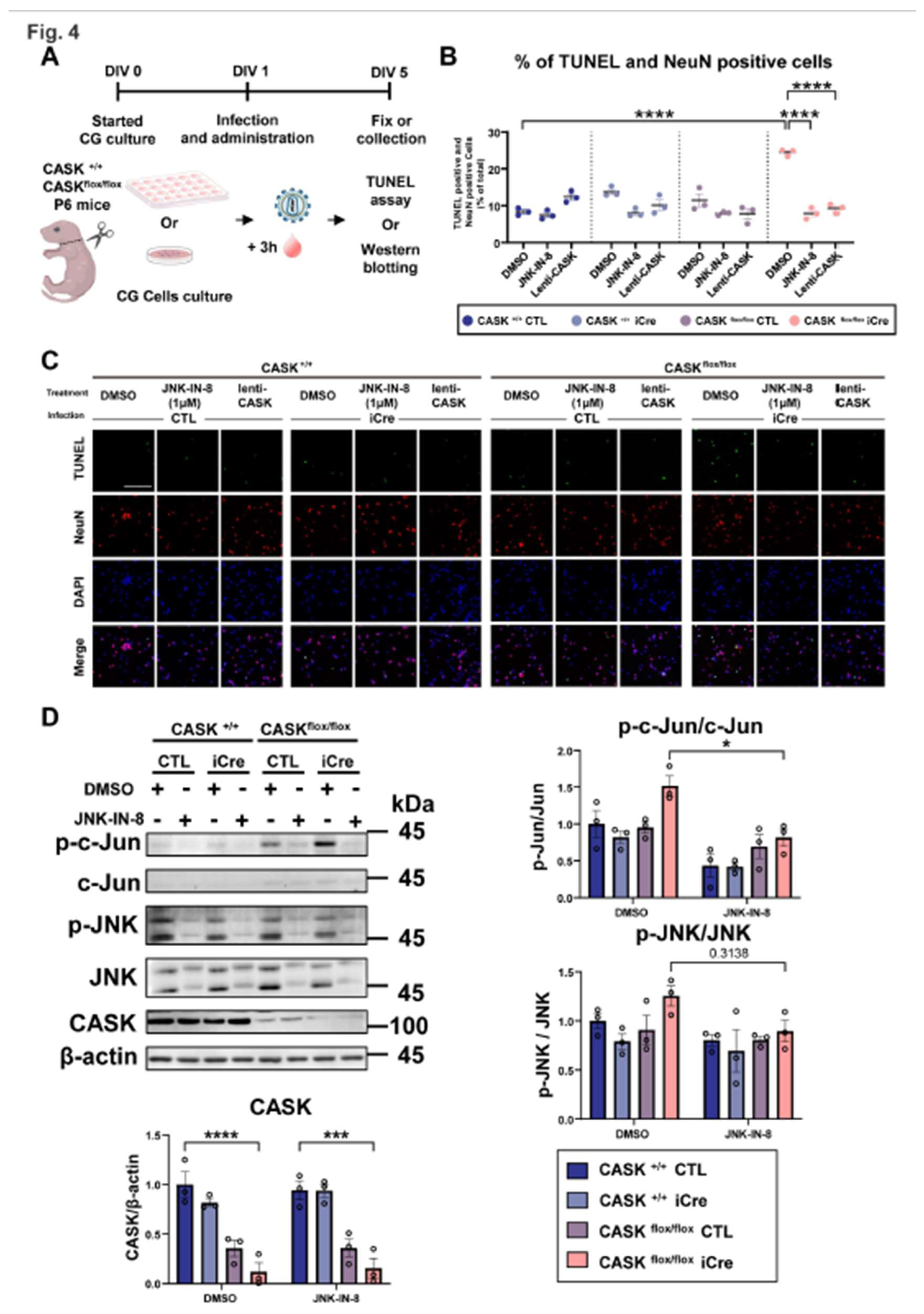 Preprints 156451 g004
