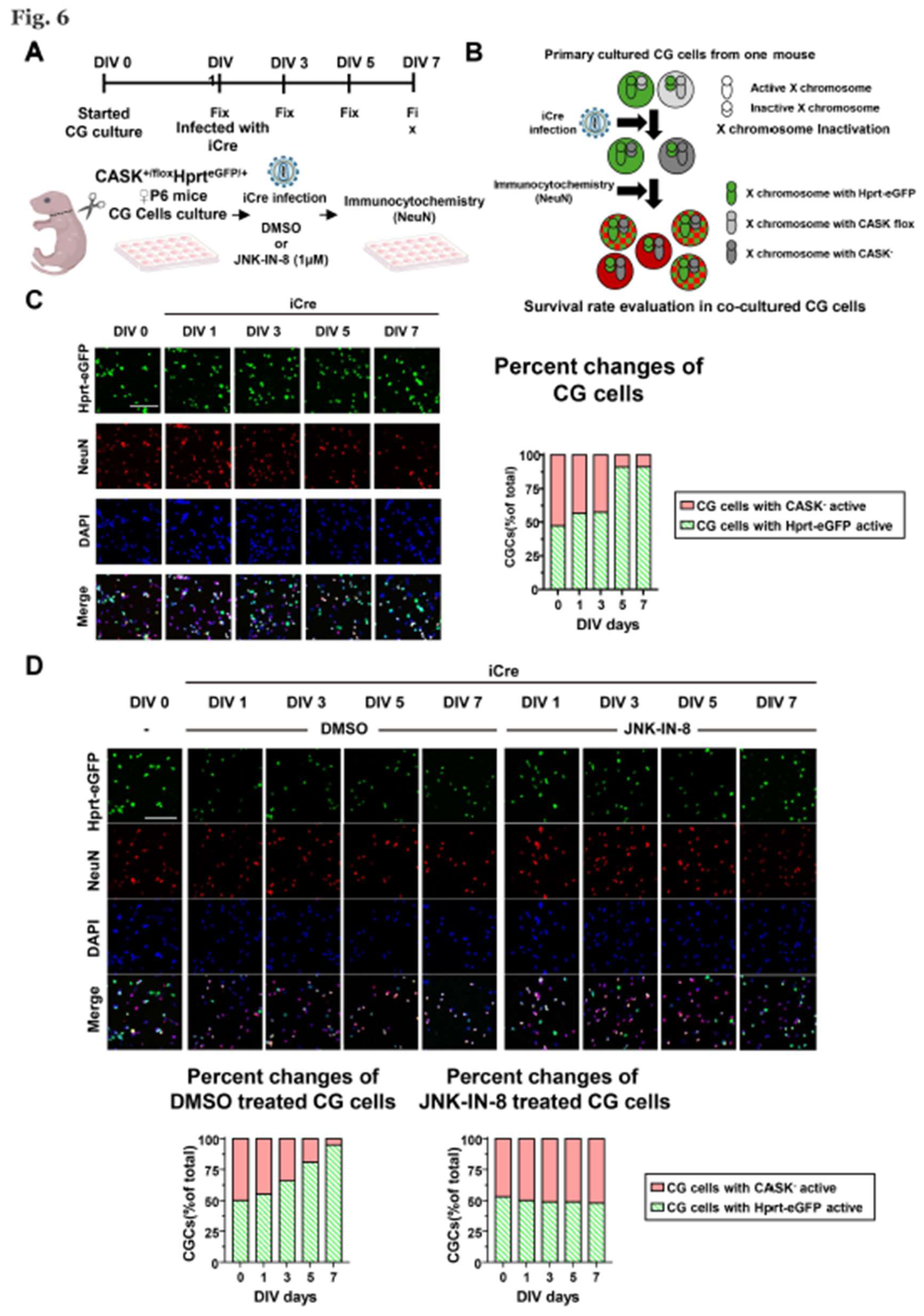 Preprints 156451 g006