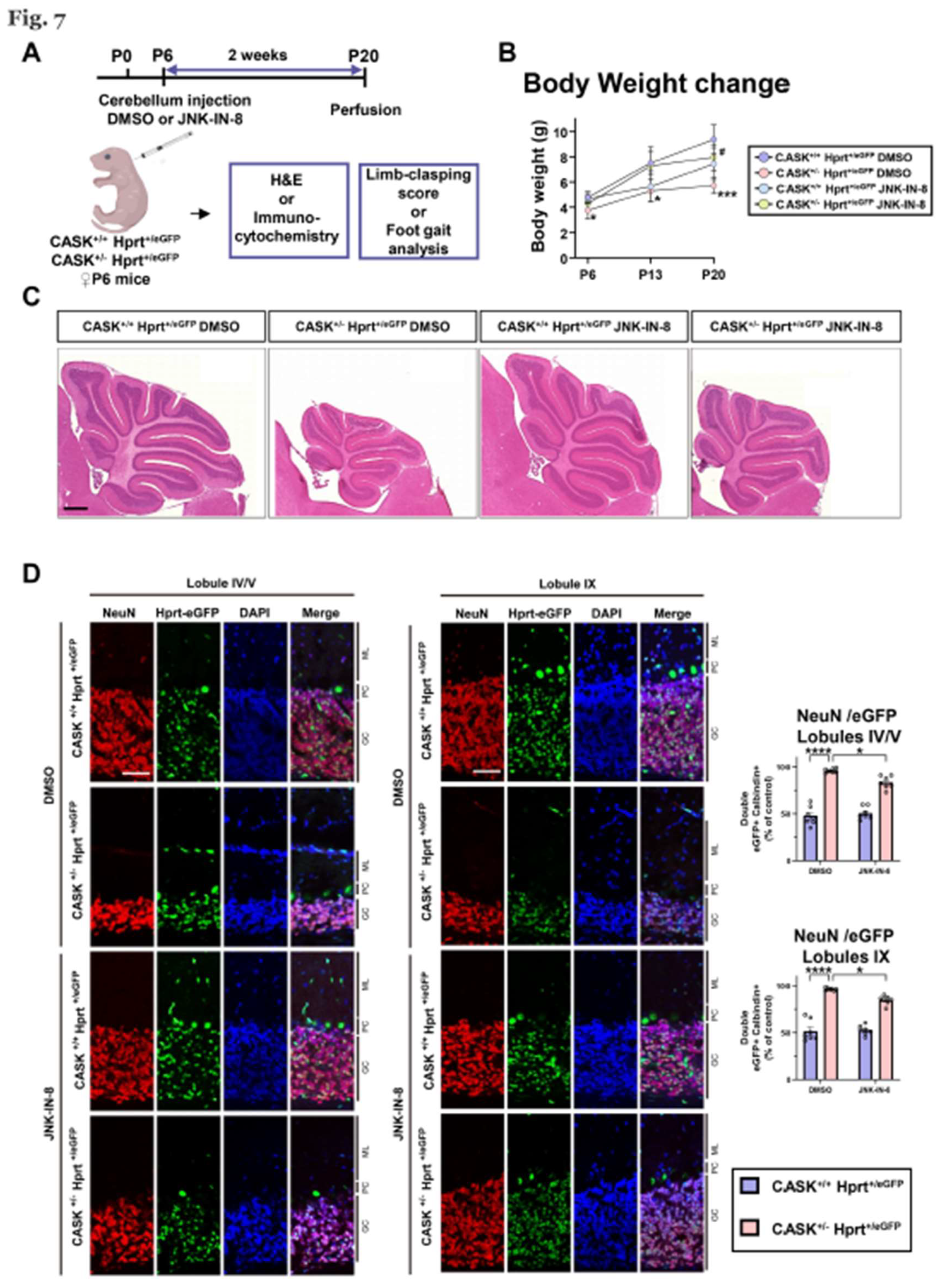 Preprints 156451 g007