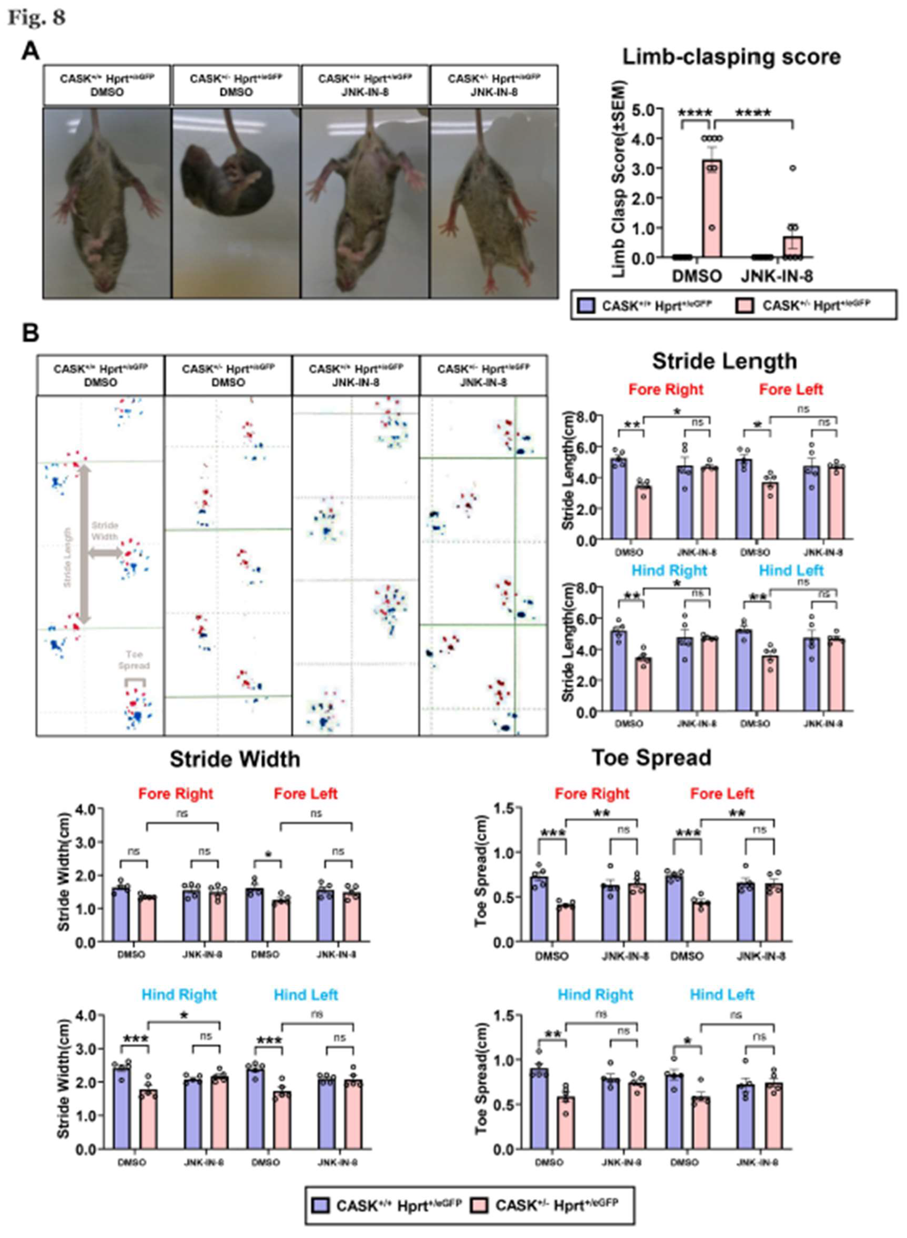 Preprints 156451 g008