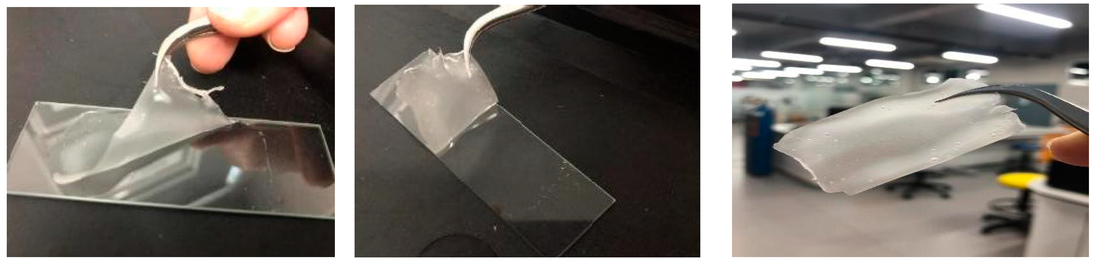 Preprints 156623 g001