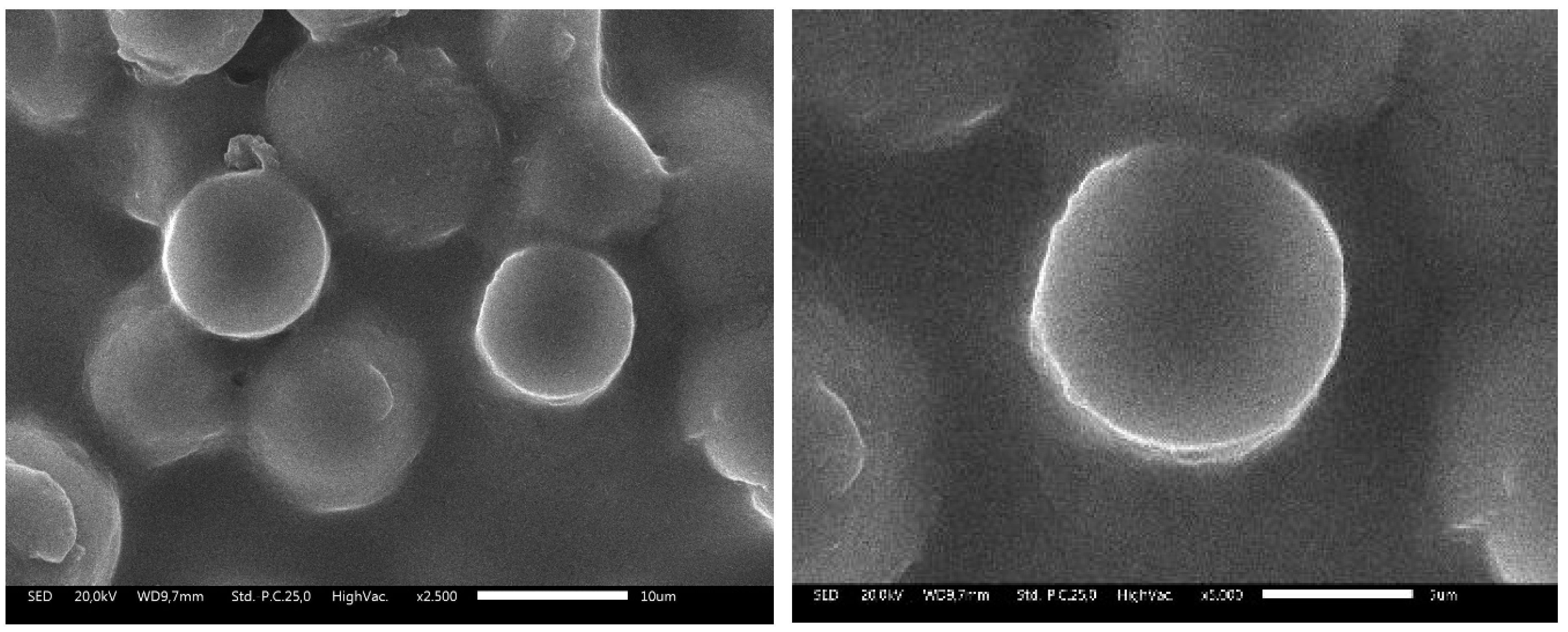 Preprints 156623 g005