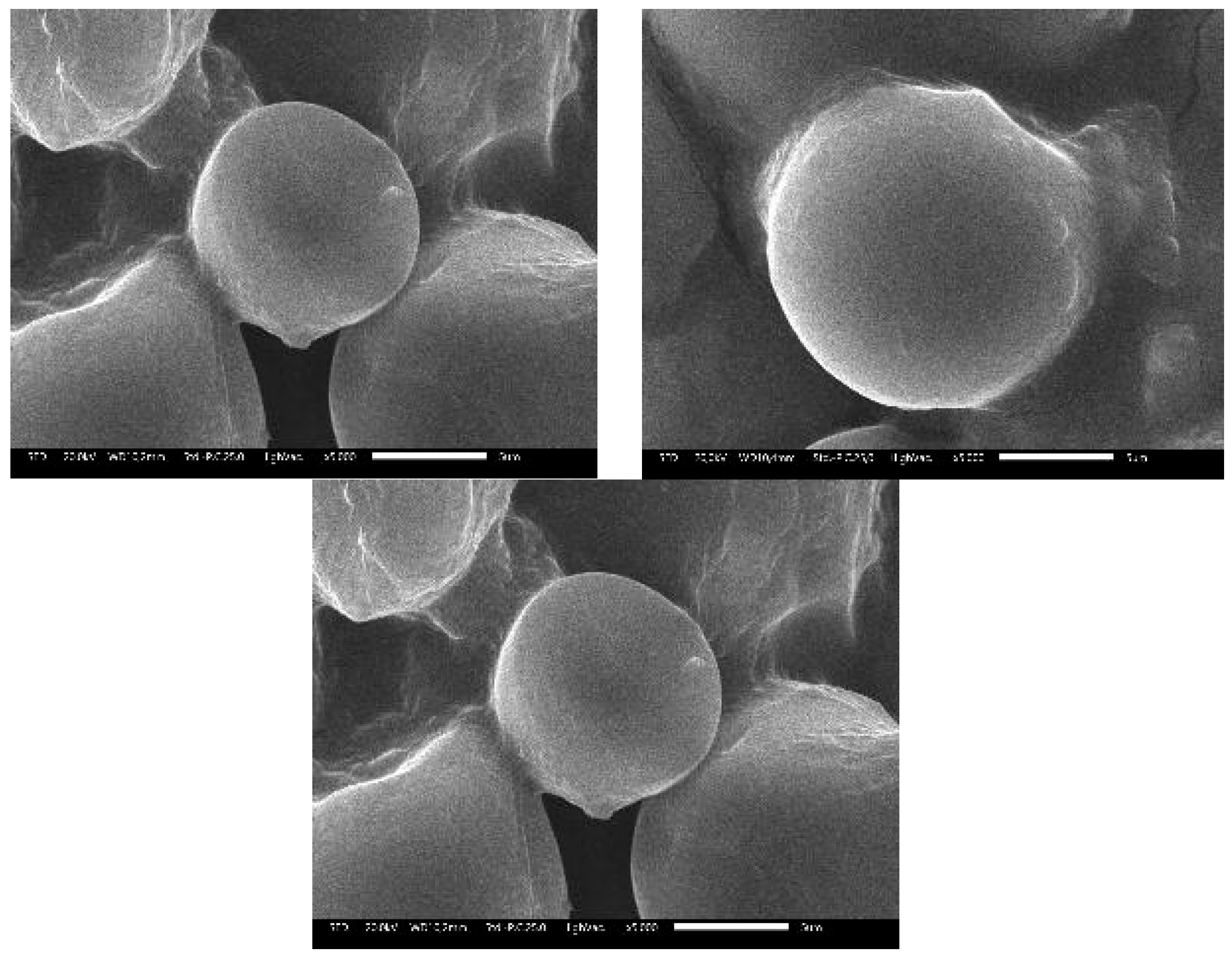 Preprints 156623 g006