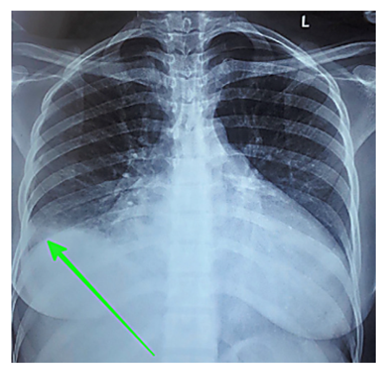 Preprints 182129 g010