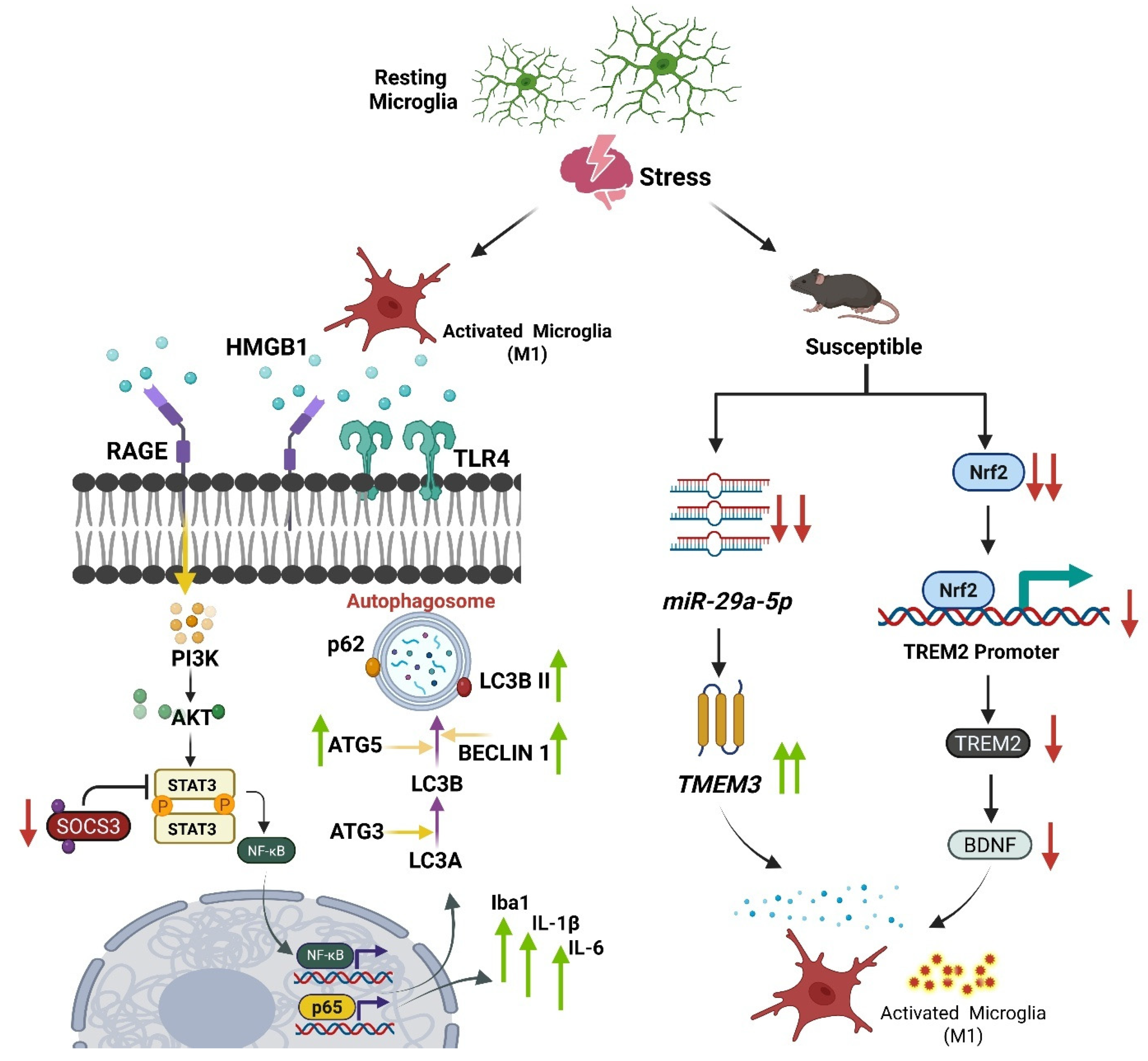 Preprints 178200 g001
