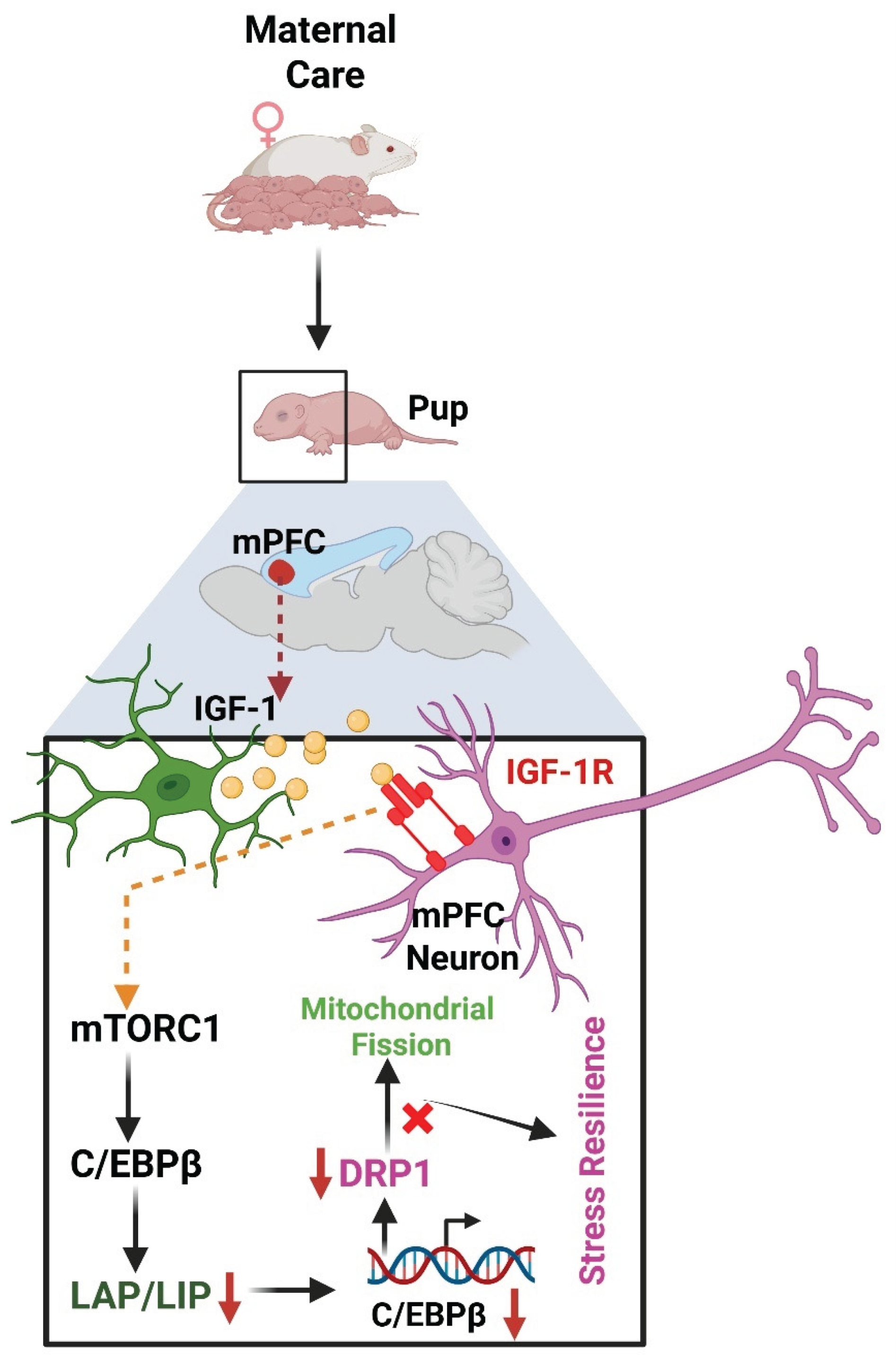 Preprints 178200 g002