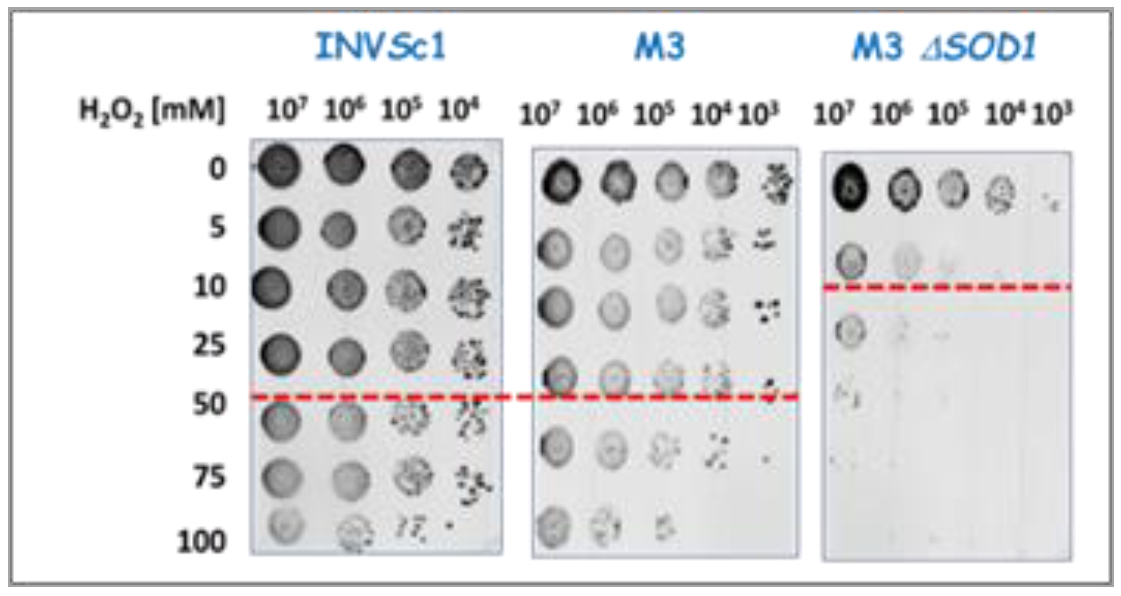 Preprints 137538 g002
