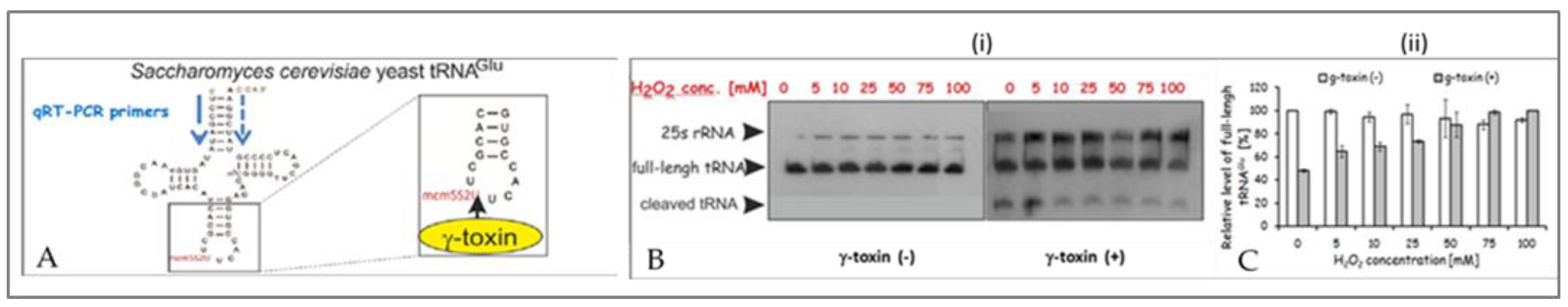 Preprints 137538 g004