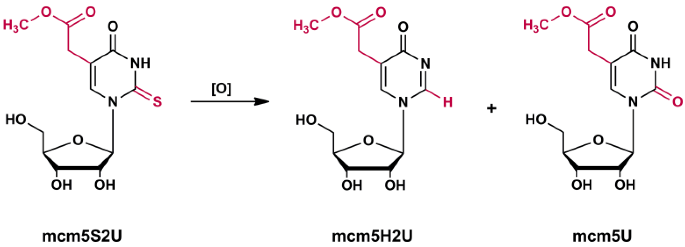 Preprints 137538 sch001