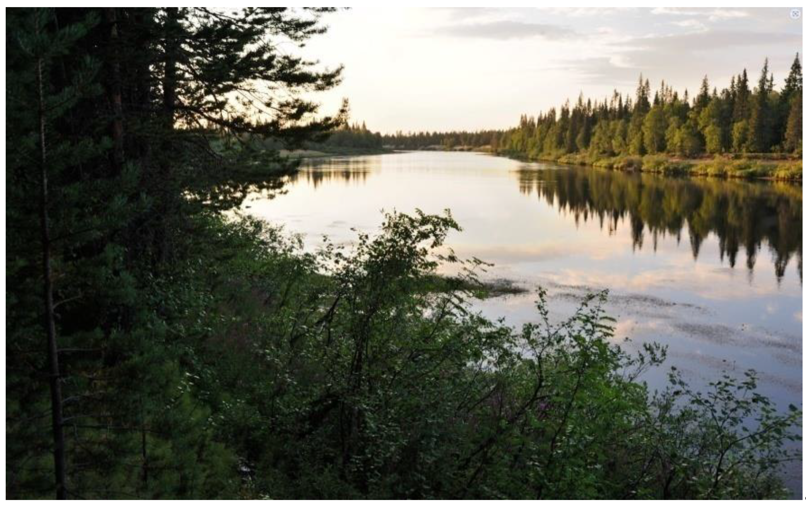 Preprints 142329 g002