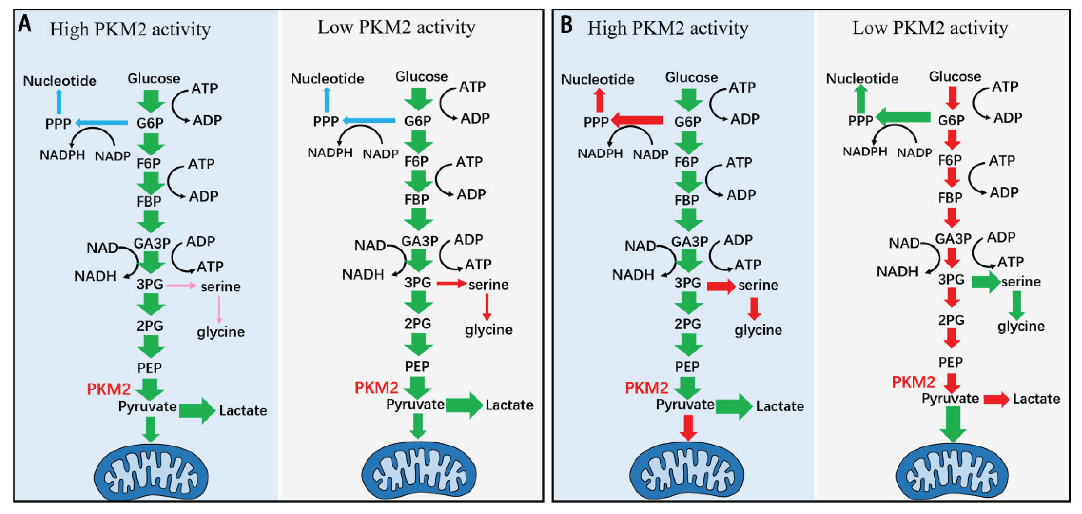 Preprints 159608 g002