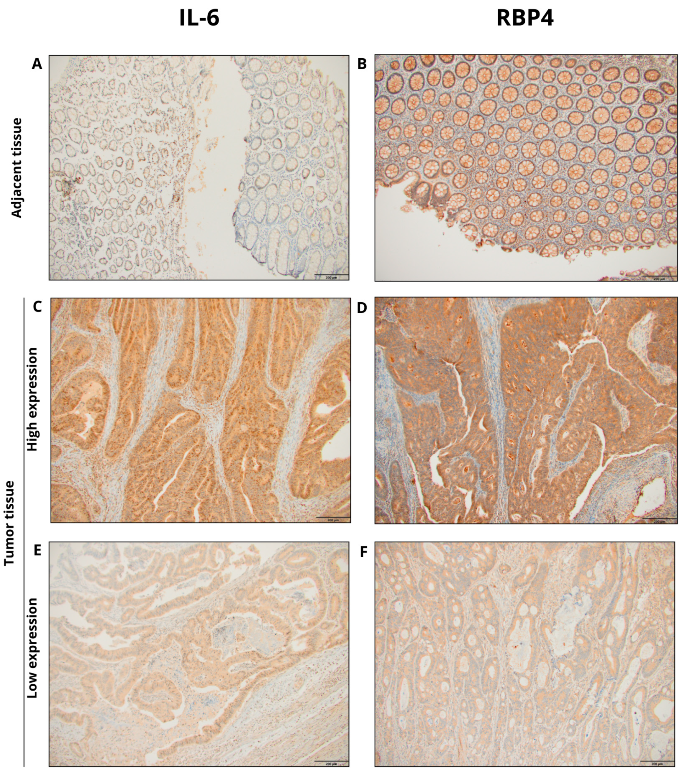 Preprints 169456 g001