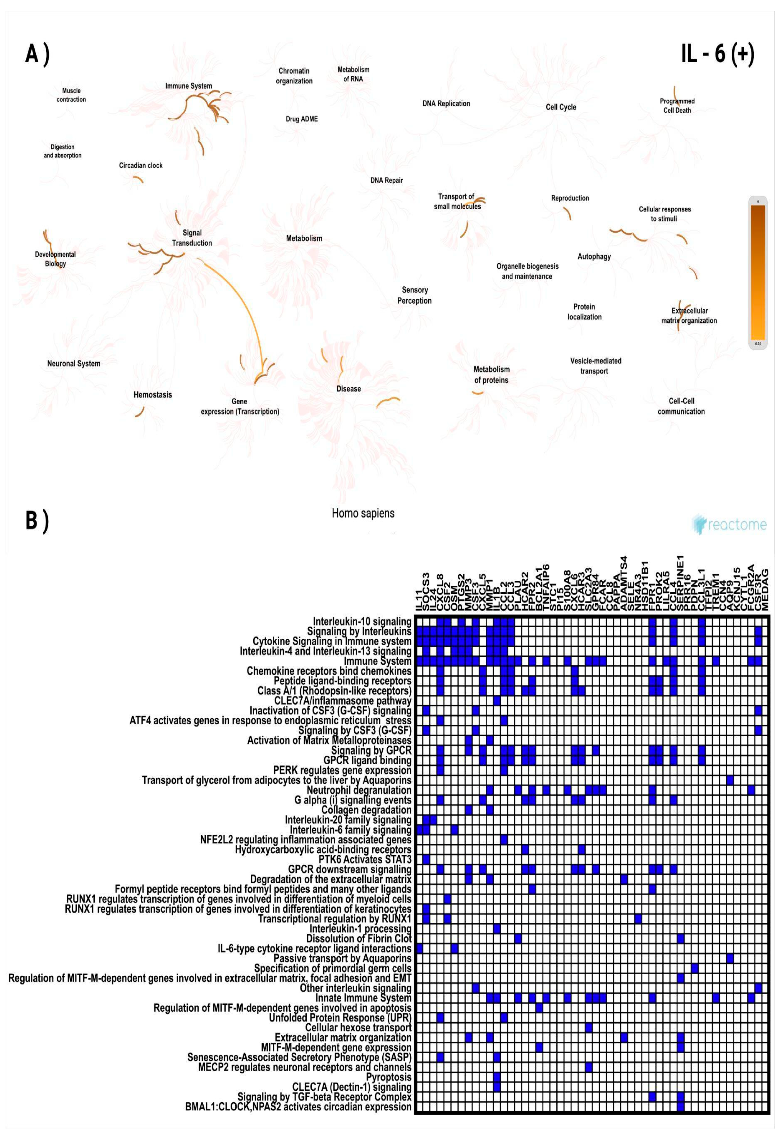 Preprints 169456 g006