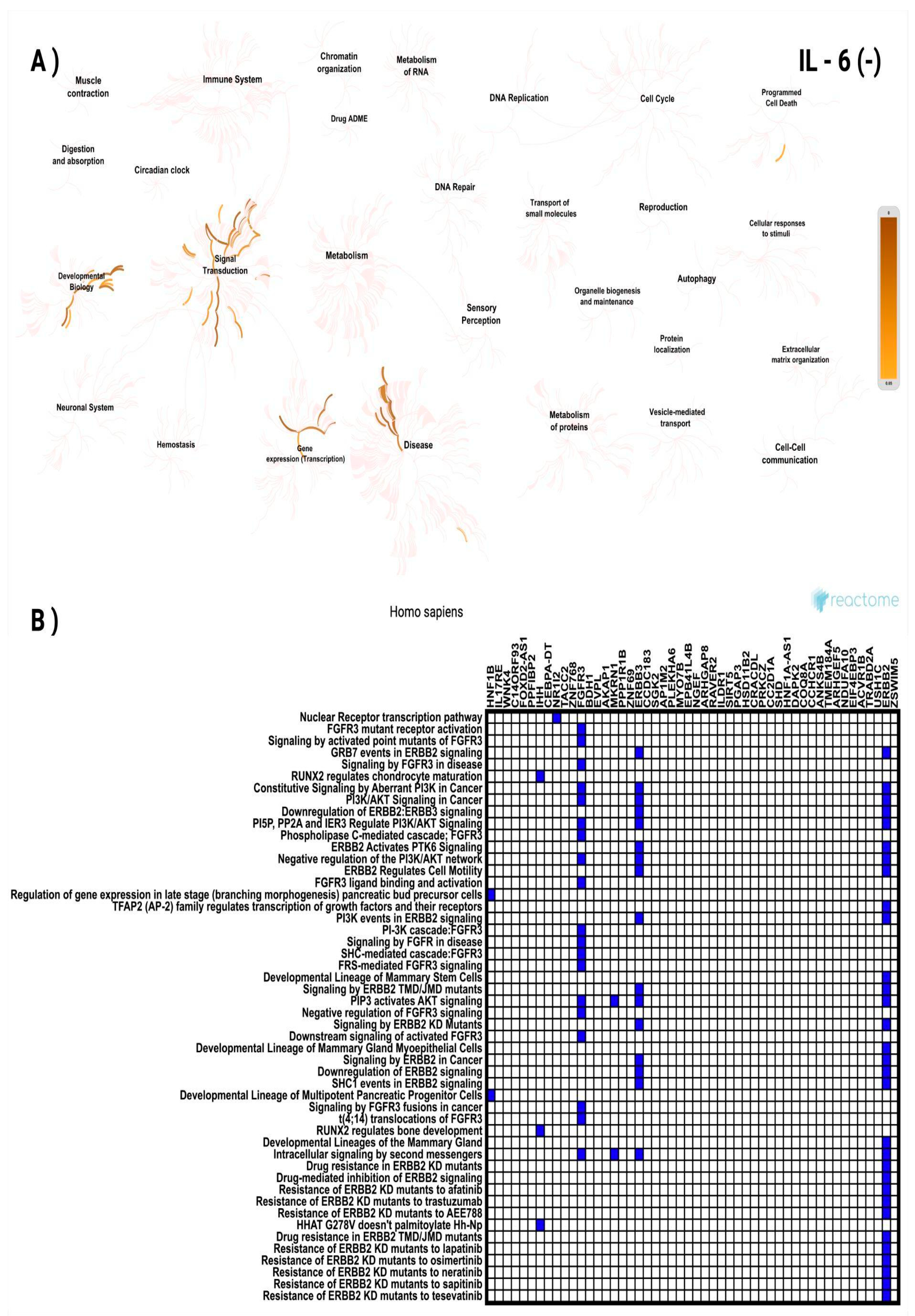 Preprints 169456 g007