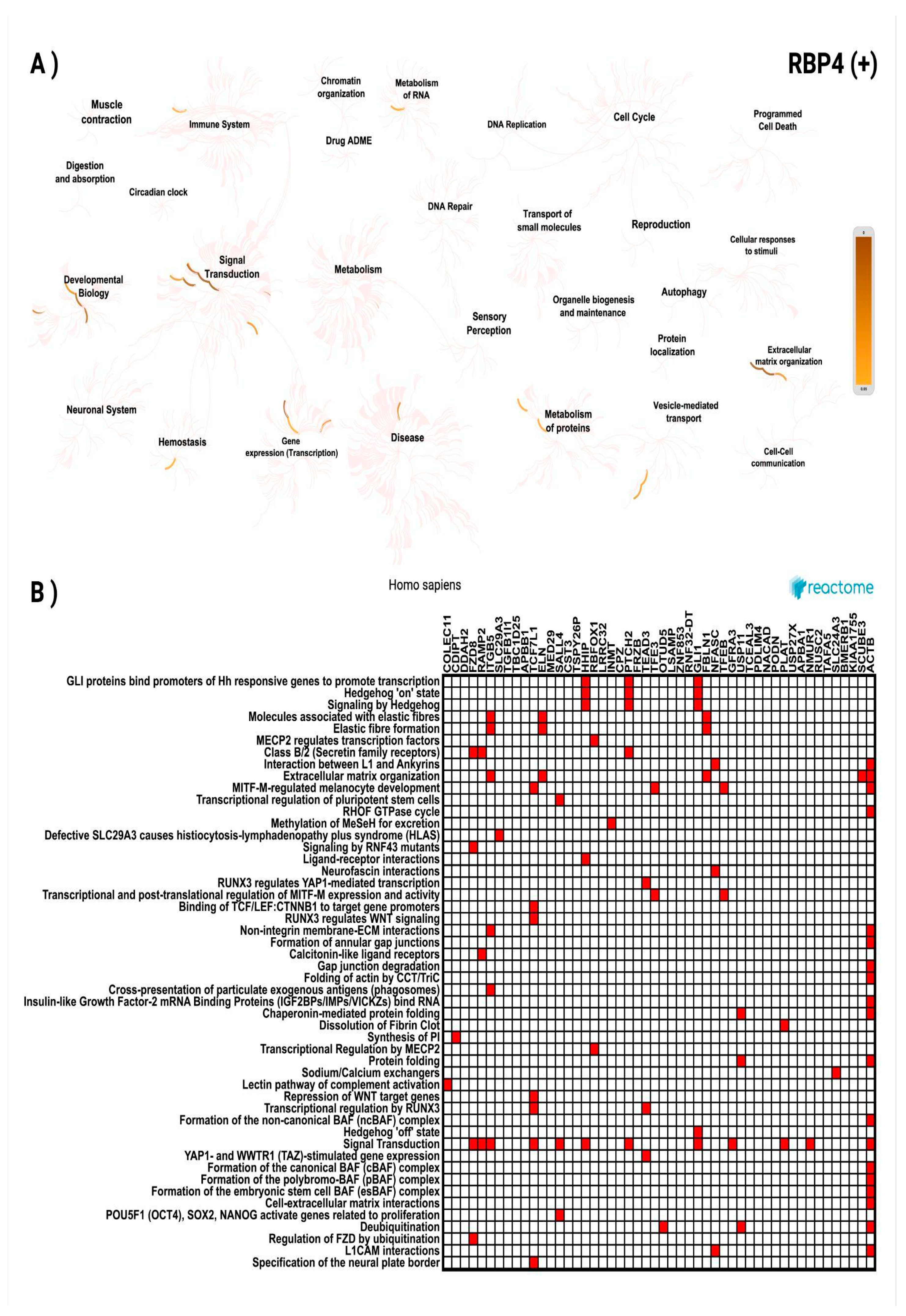 Preprints 169456 g008