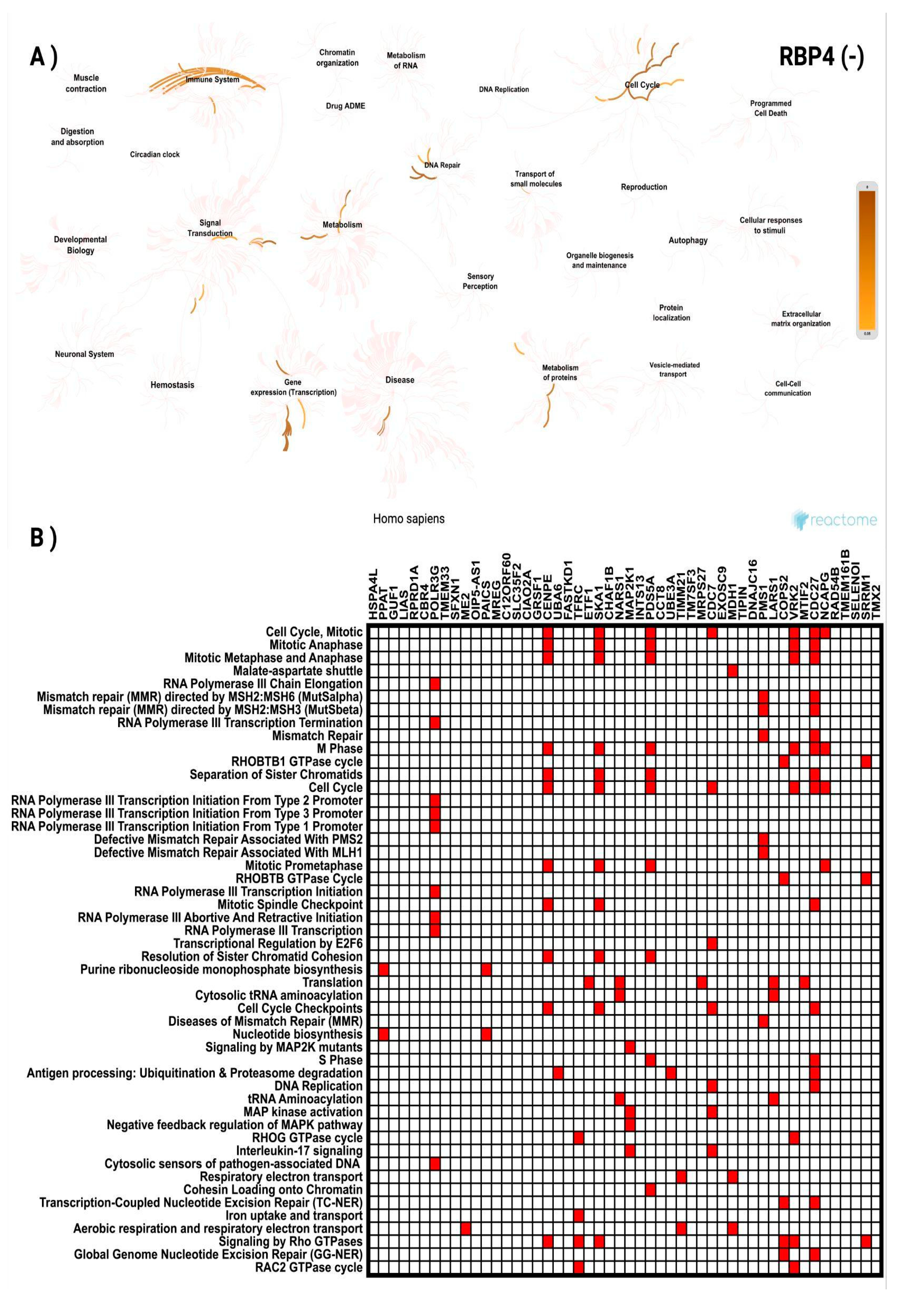 Preprints 169456 g009
