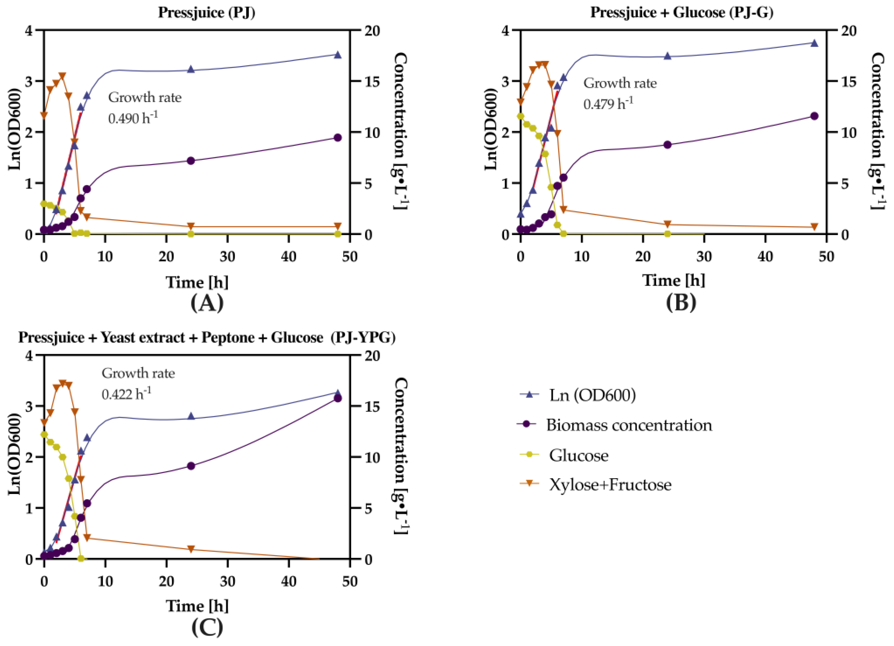 Preprints 154685 g004