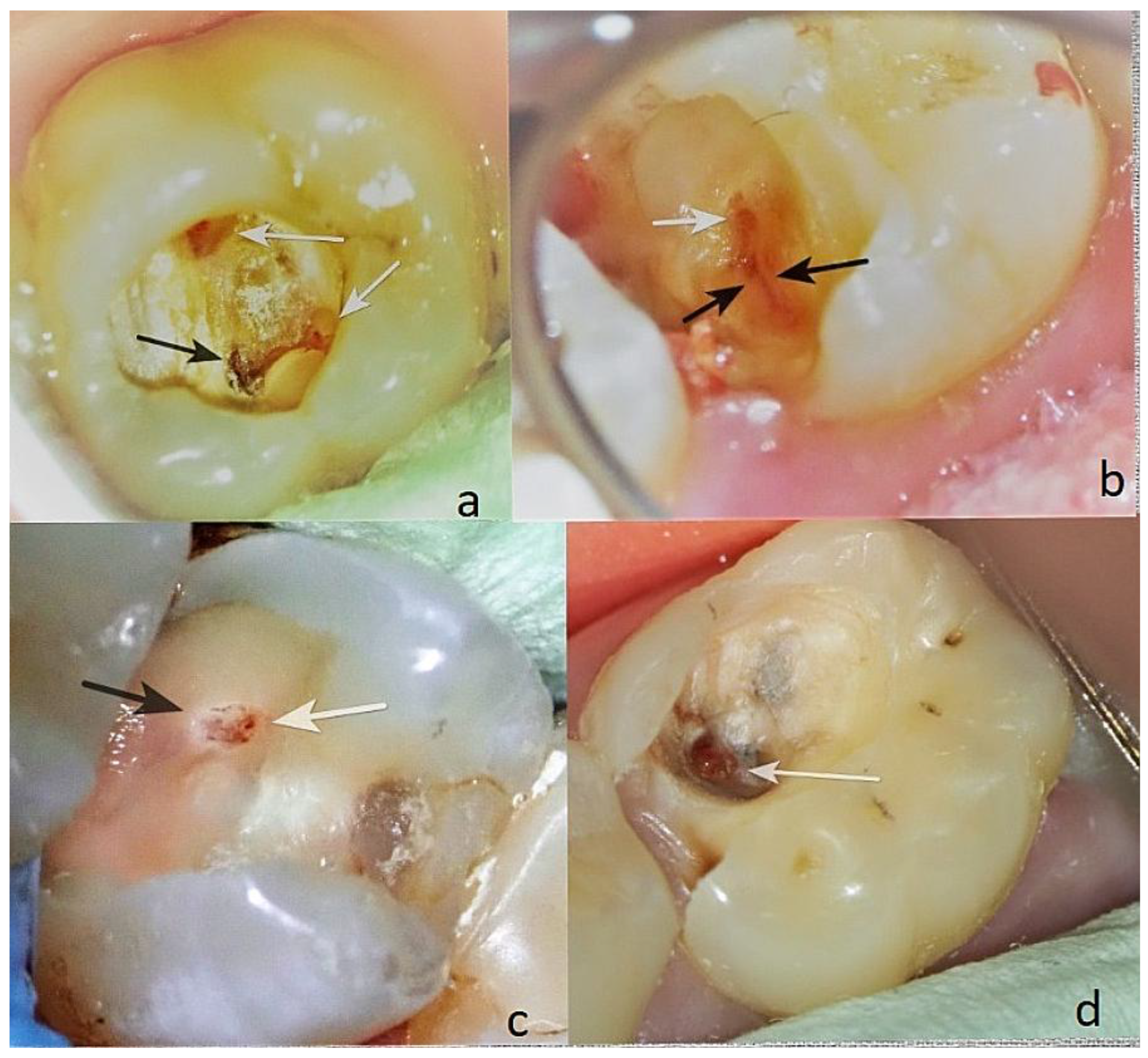 Preprints 178734 g006