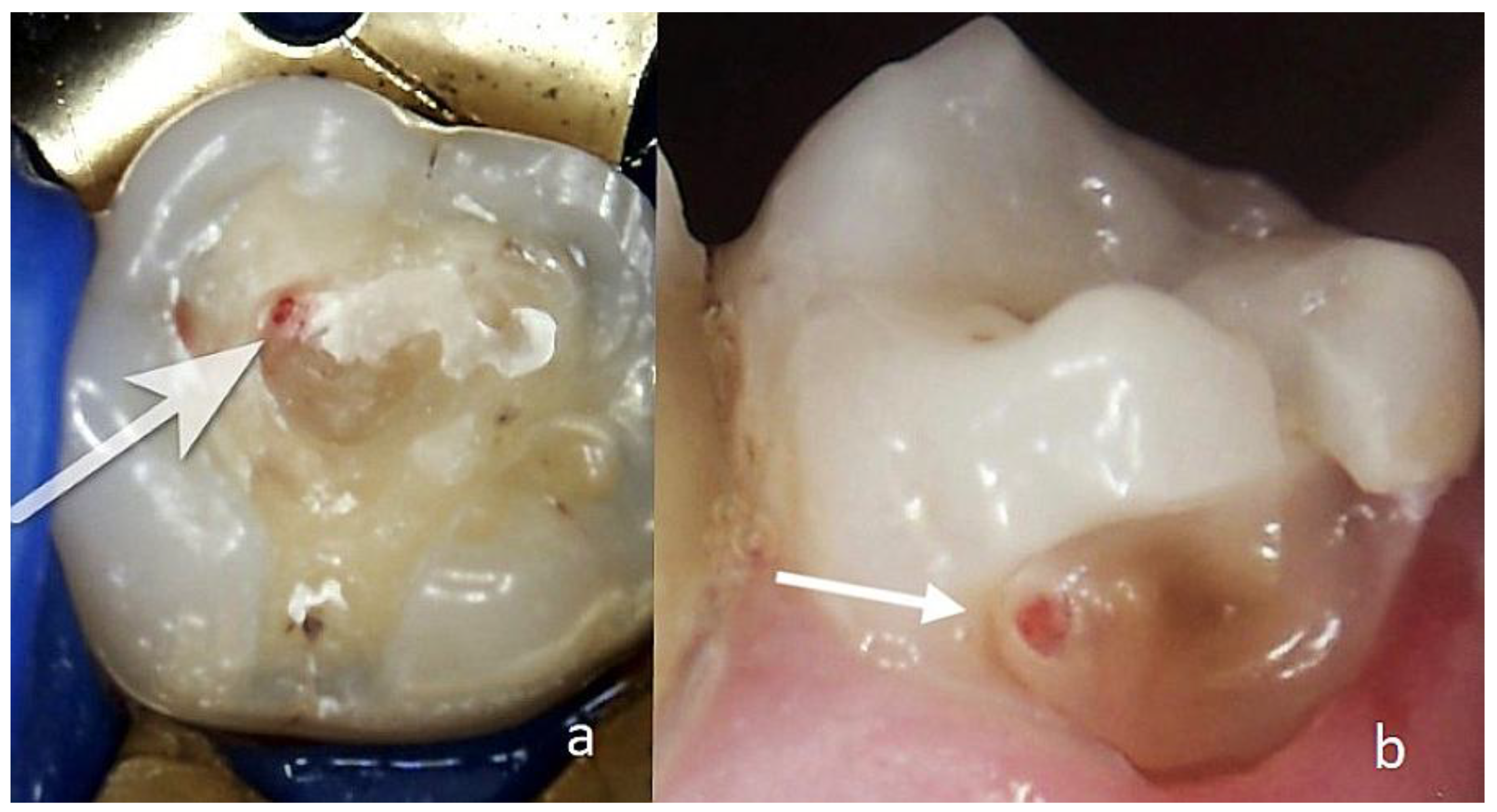 Preprints 178734 g007