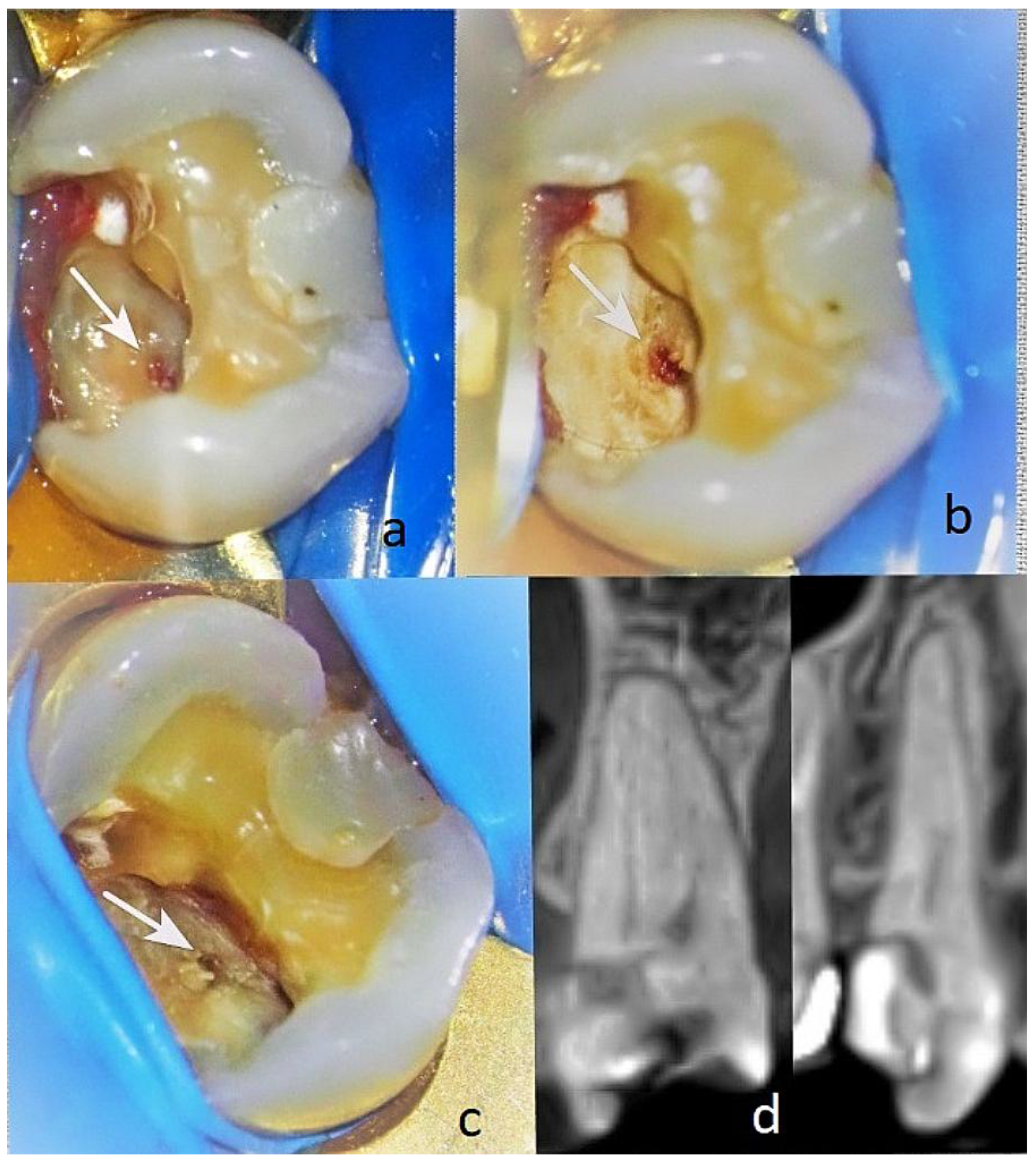Preprints 178734 g008