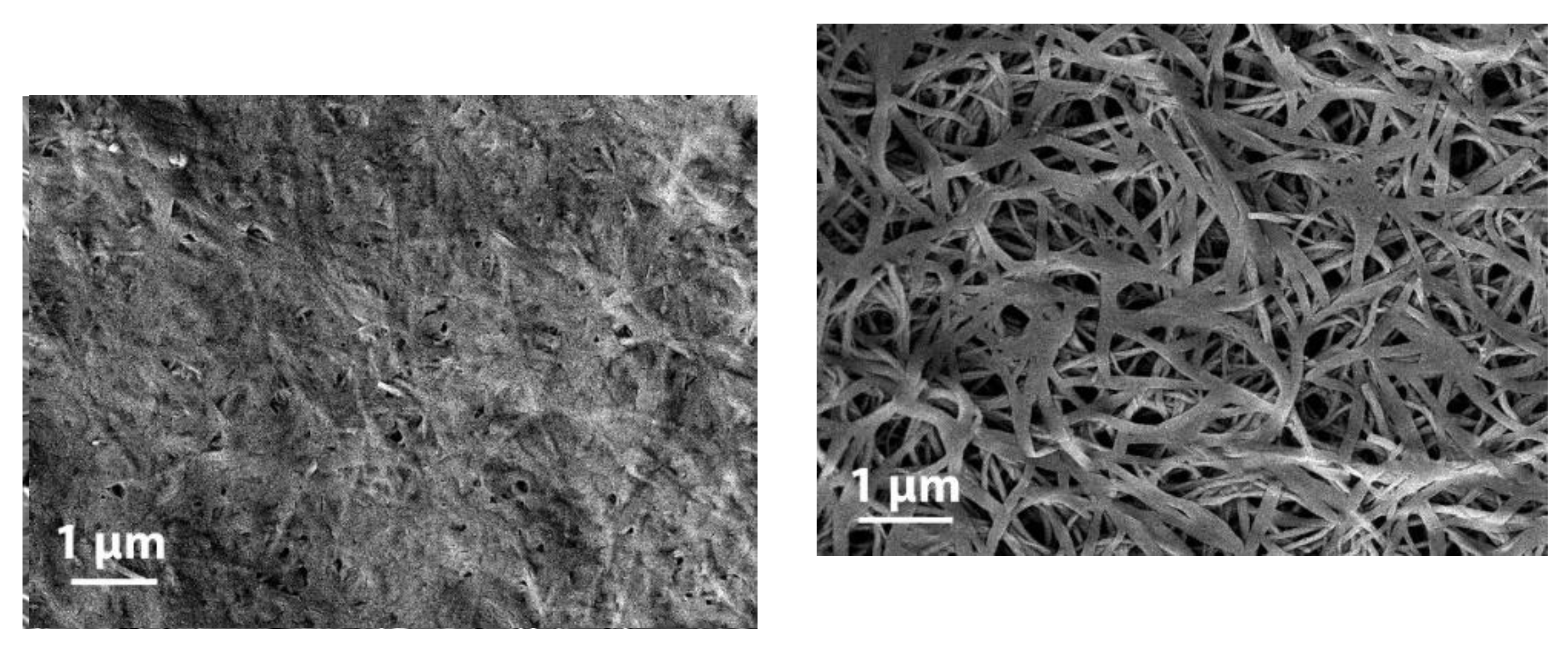 Preprints 146678 g002