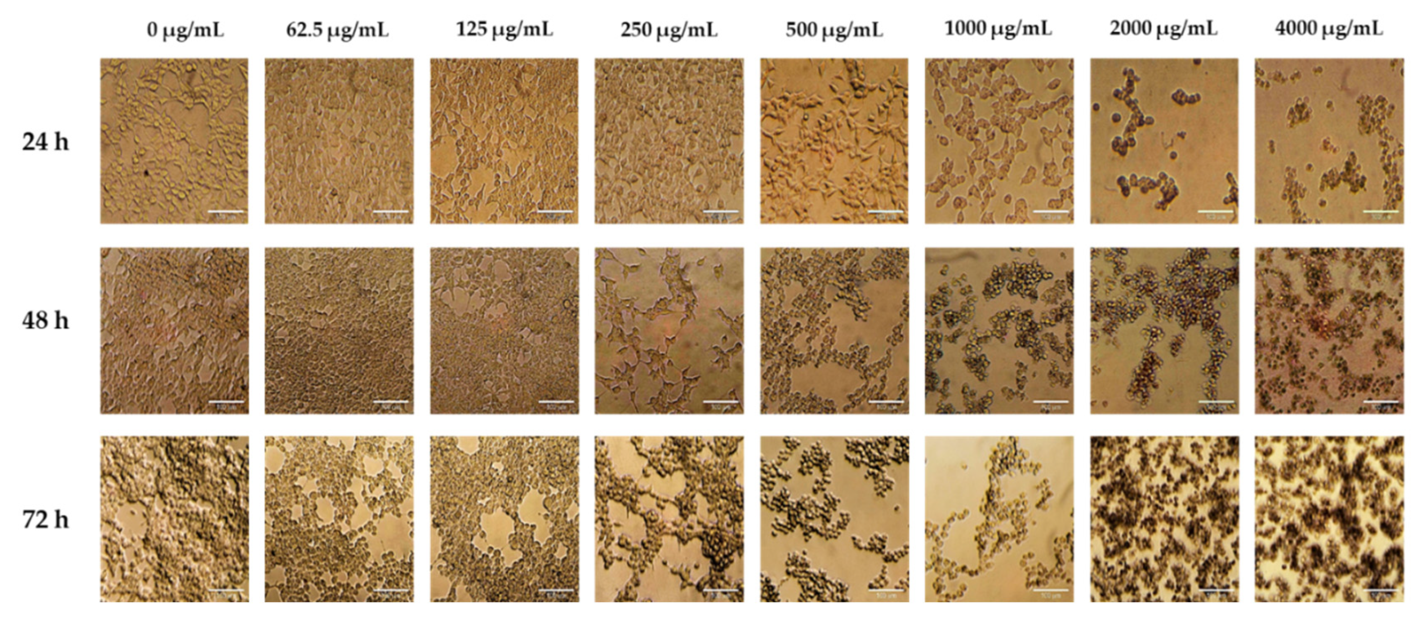 Preprints 195338 g003