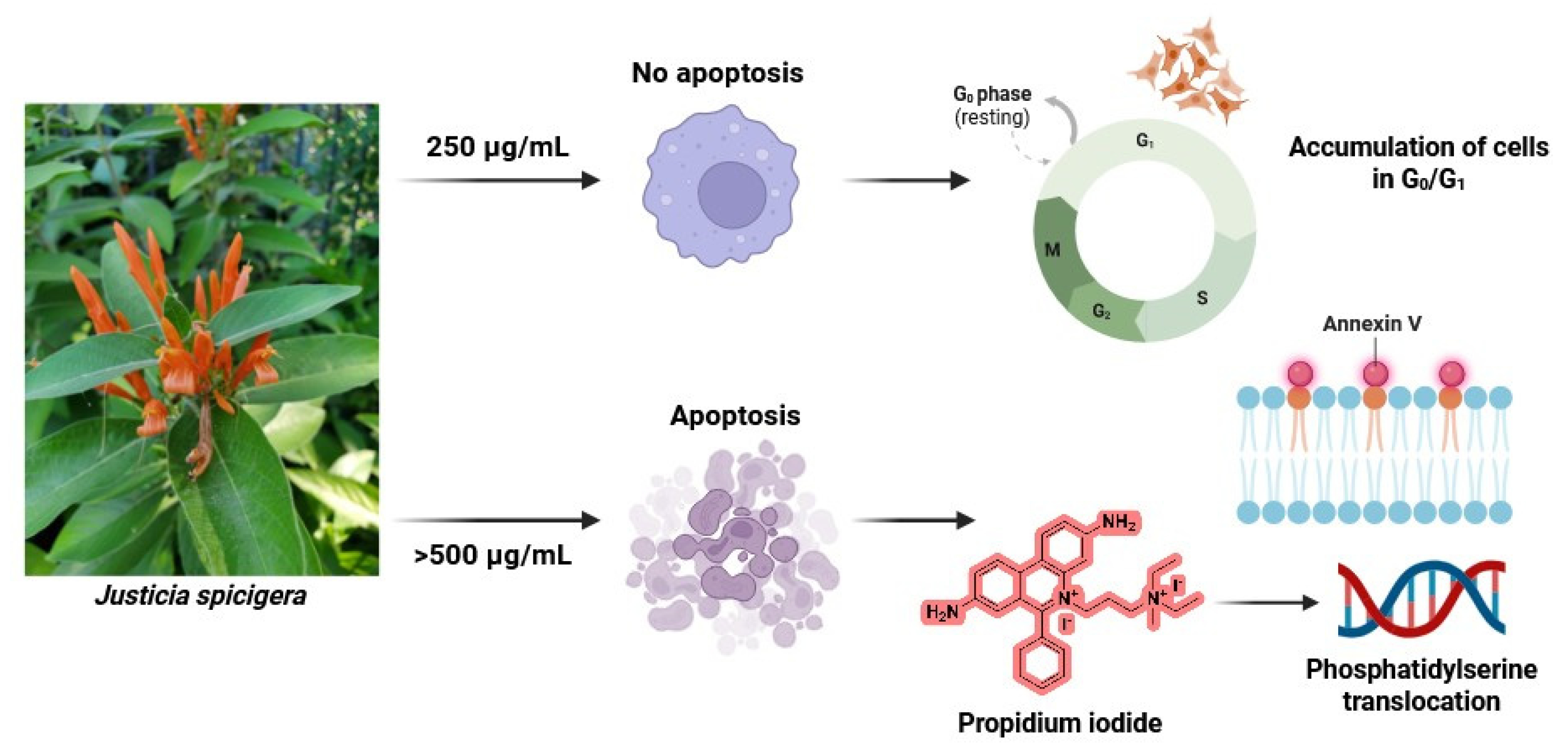 Preprints 195338 g009