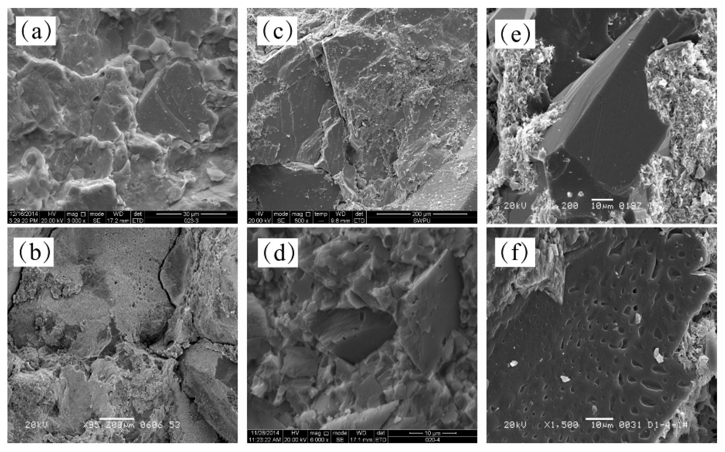Preprints 144827 g008
